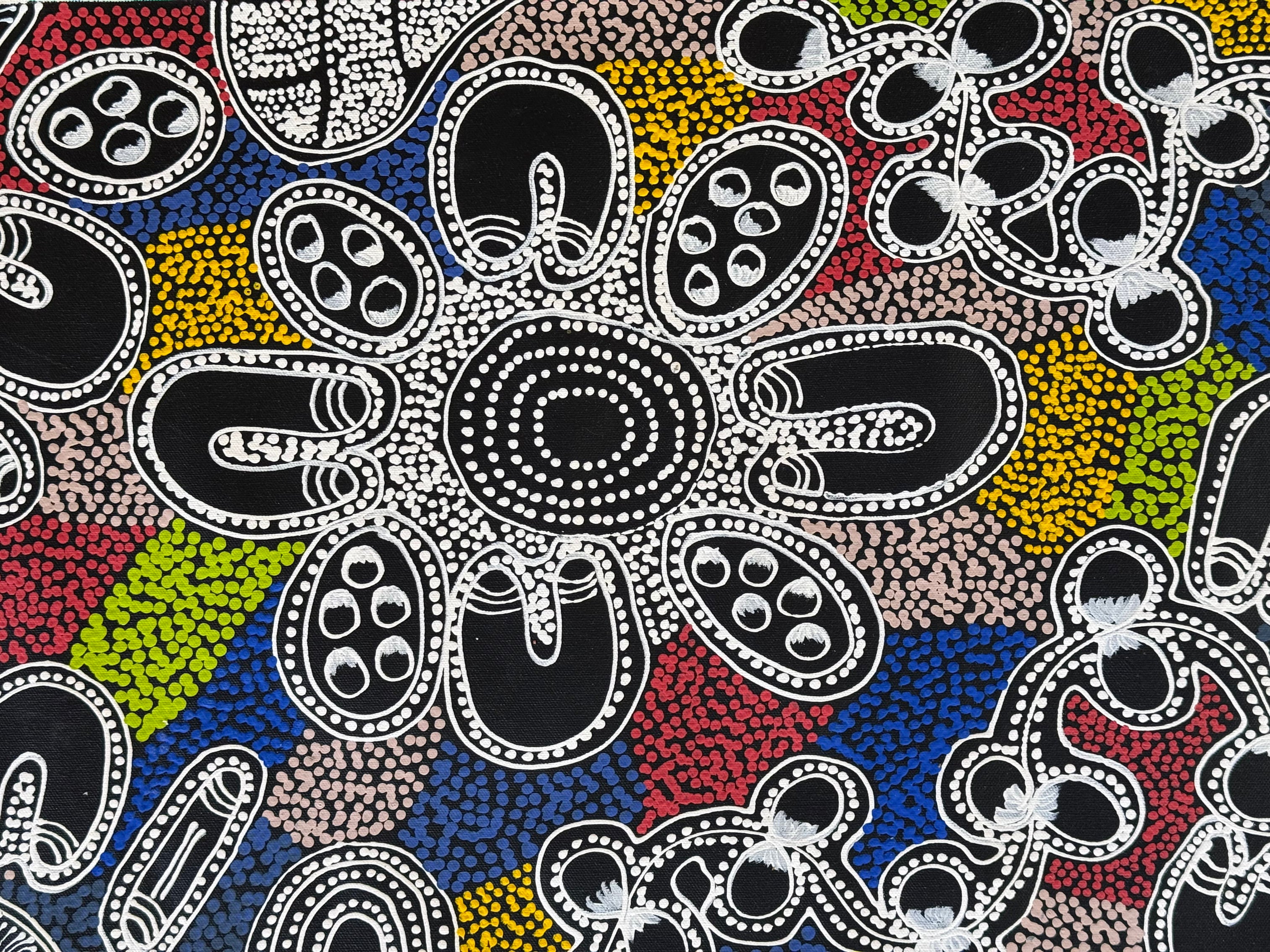 Lanita Numina - Women Collect Bush Plums, Medicine Seeds - 151x42cm .13-7