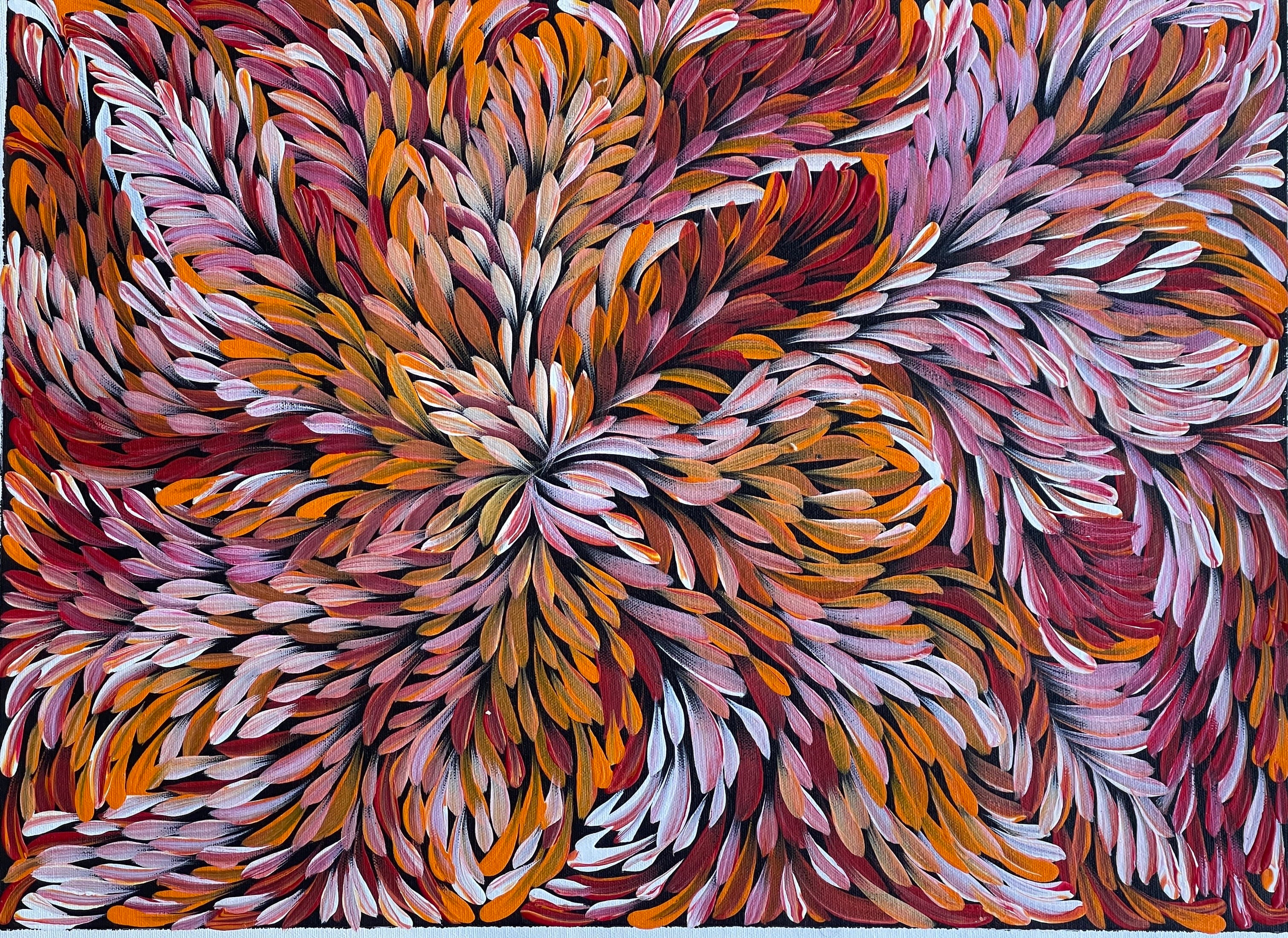 Caroline Numina - Bush Medicine Leaves - 55x40cm .79-3