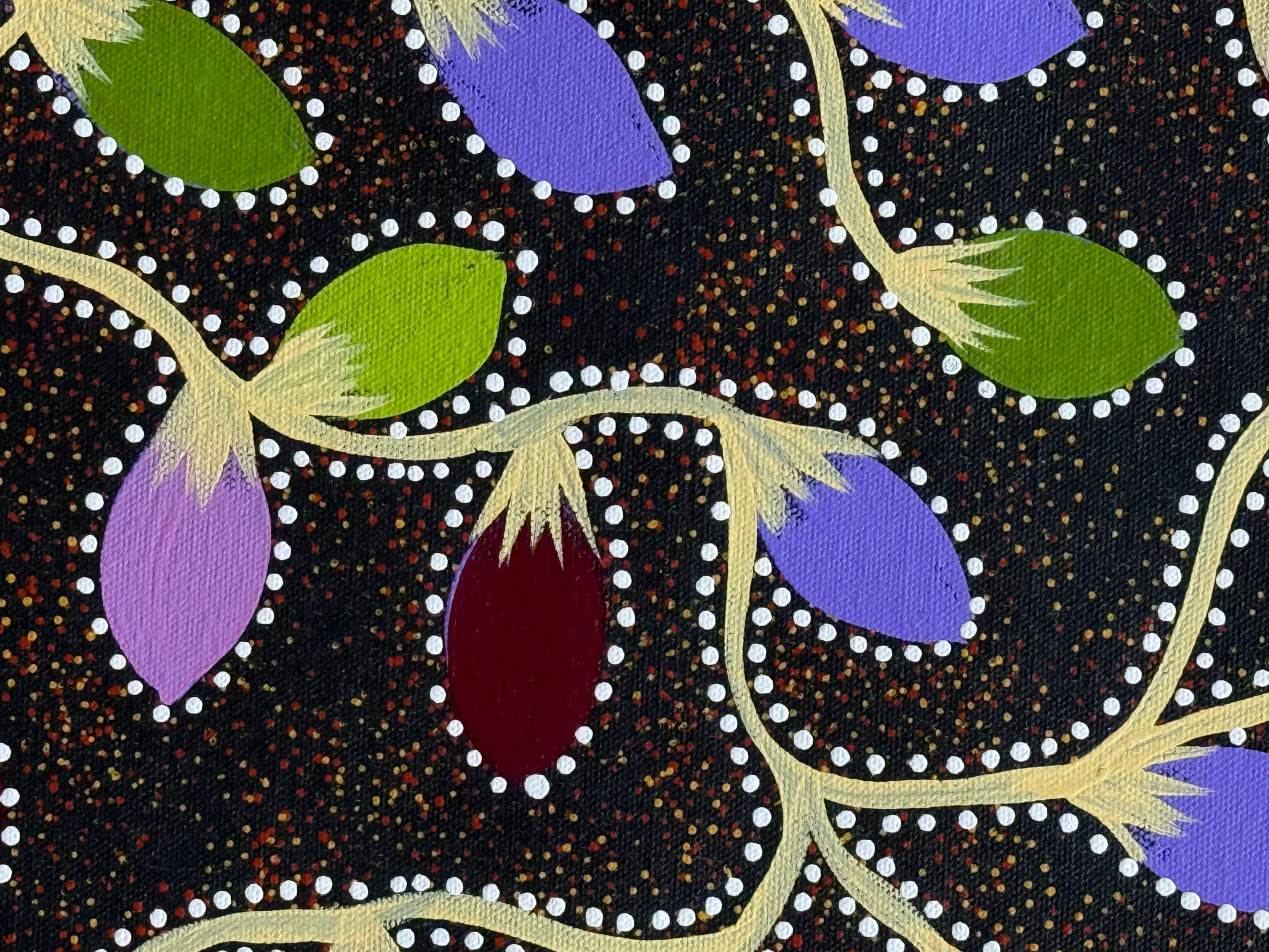 Jacinta Numina Waugh - Bush Plums .30-1