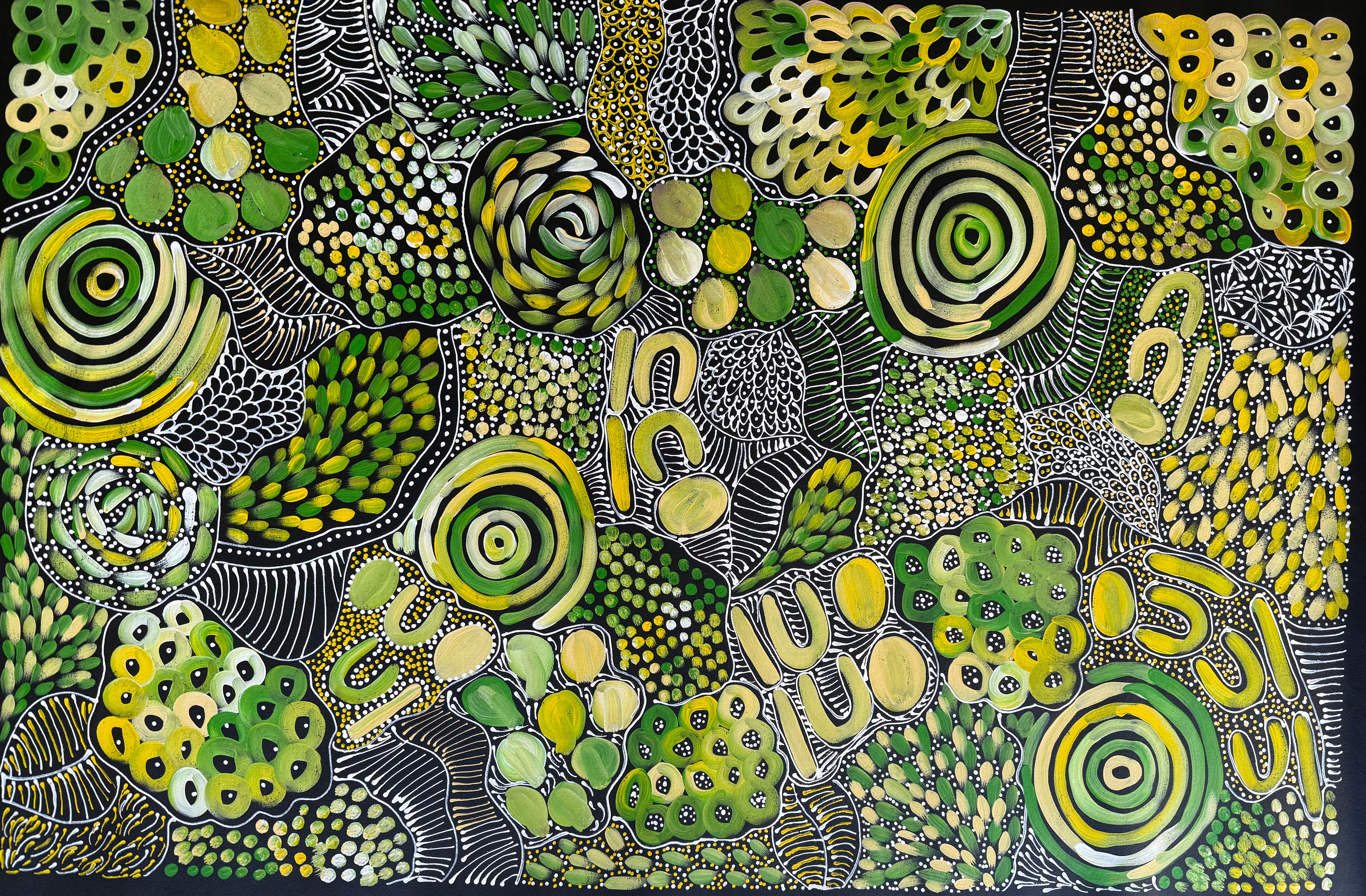 Louise Numina Napananka - Dreamtime .86-17