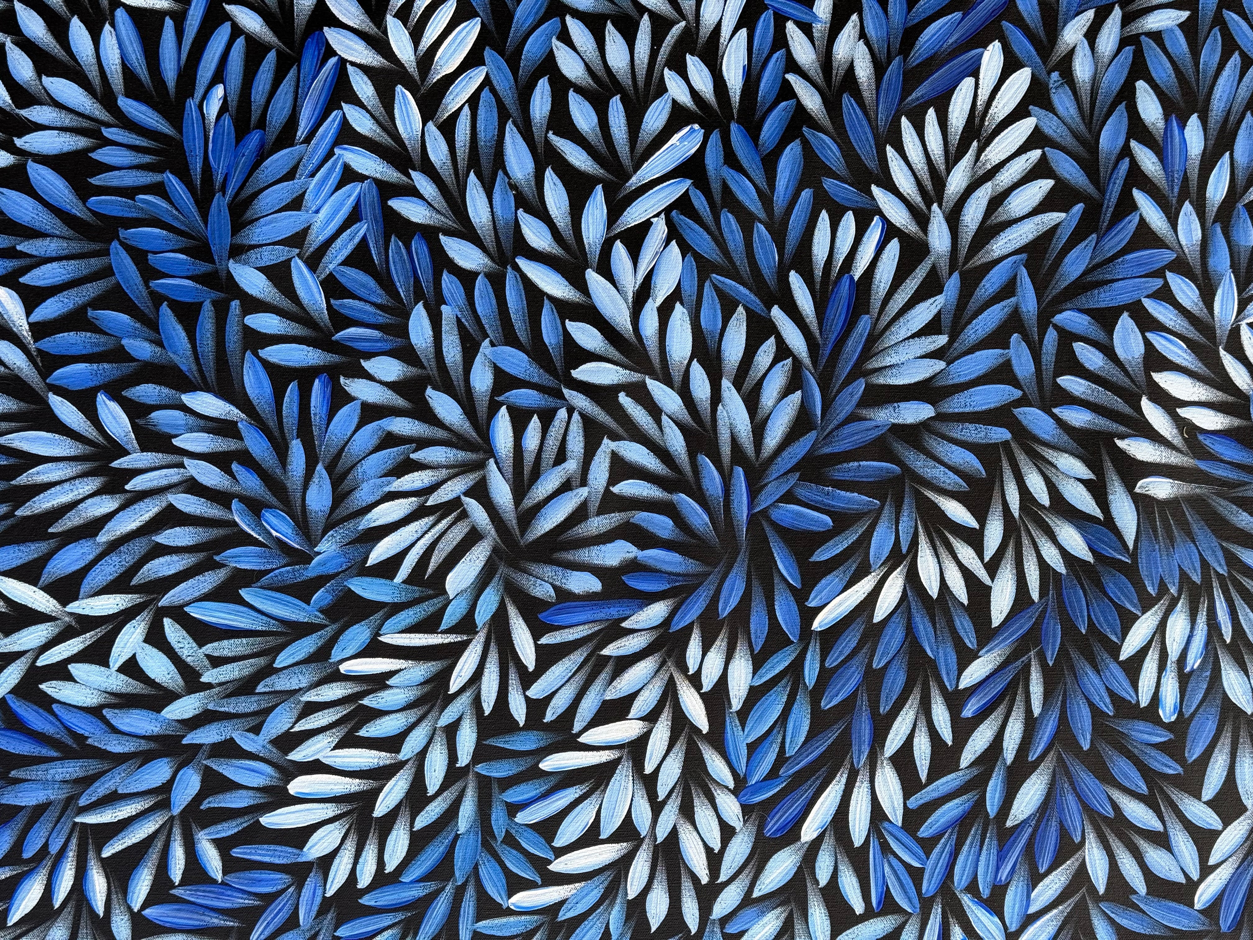 Sharon Numina - Bush Medicine Leaves .95-9