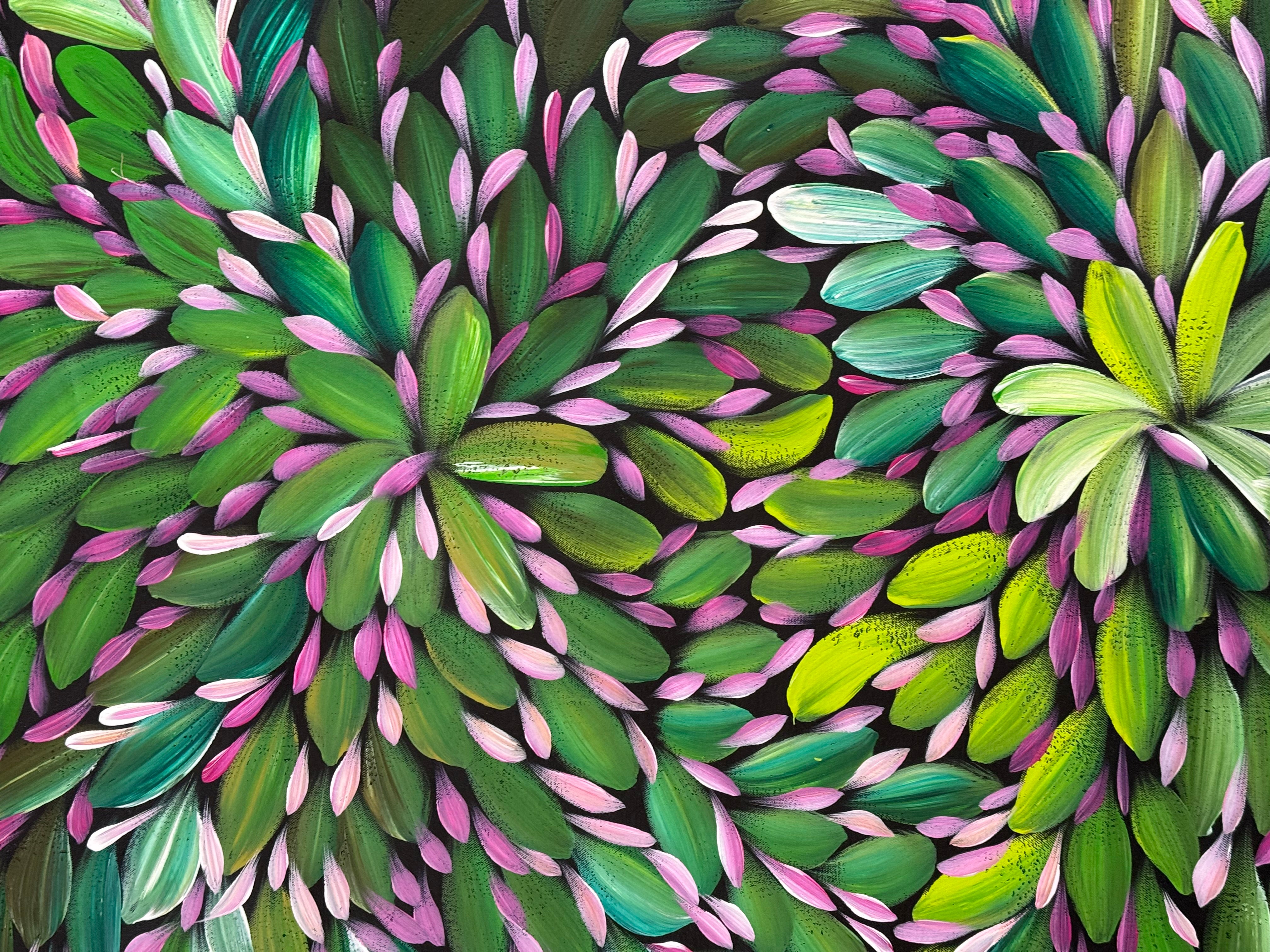 Louise Numina Napananka - Bush Medicine Leaves .16-27