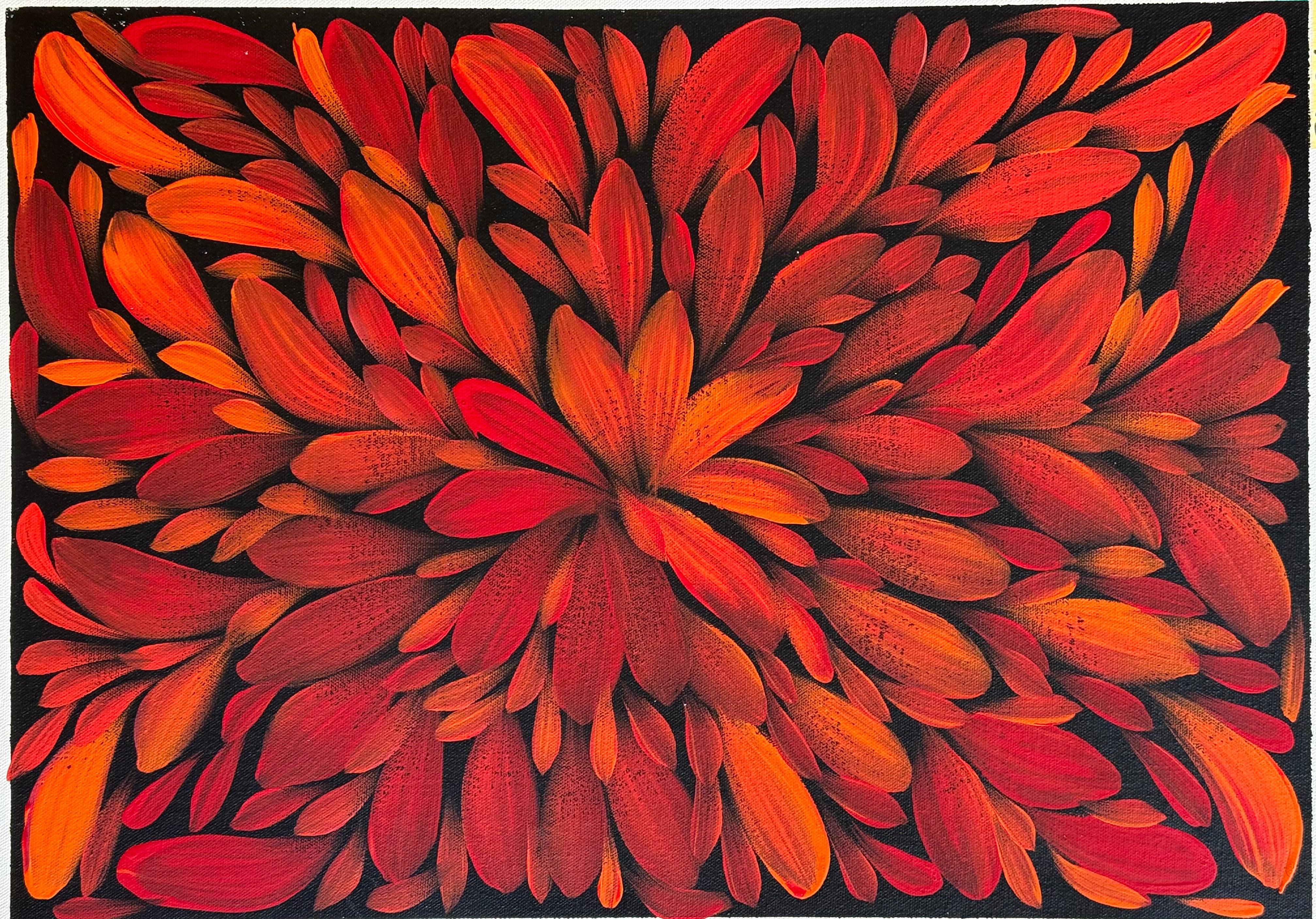Louise Numina Napananka - Bush Medicine Leaves .57-26