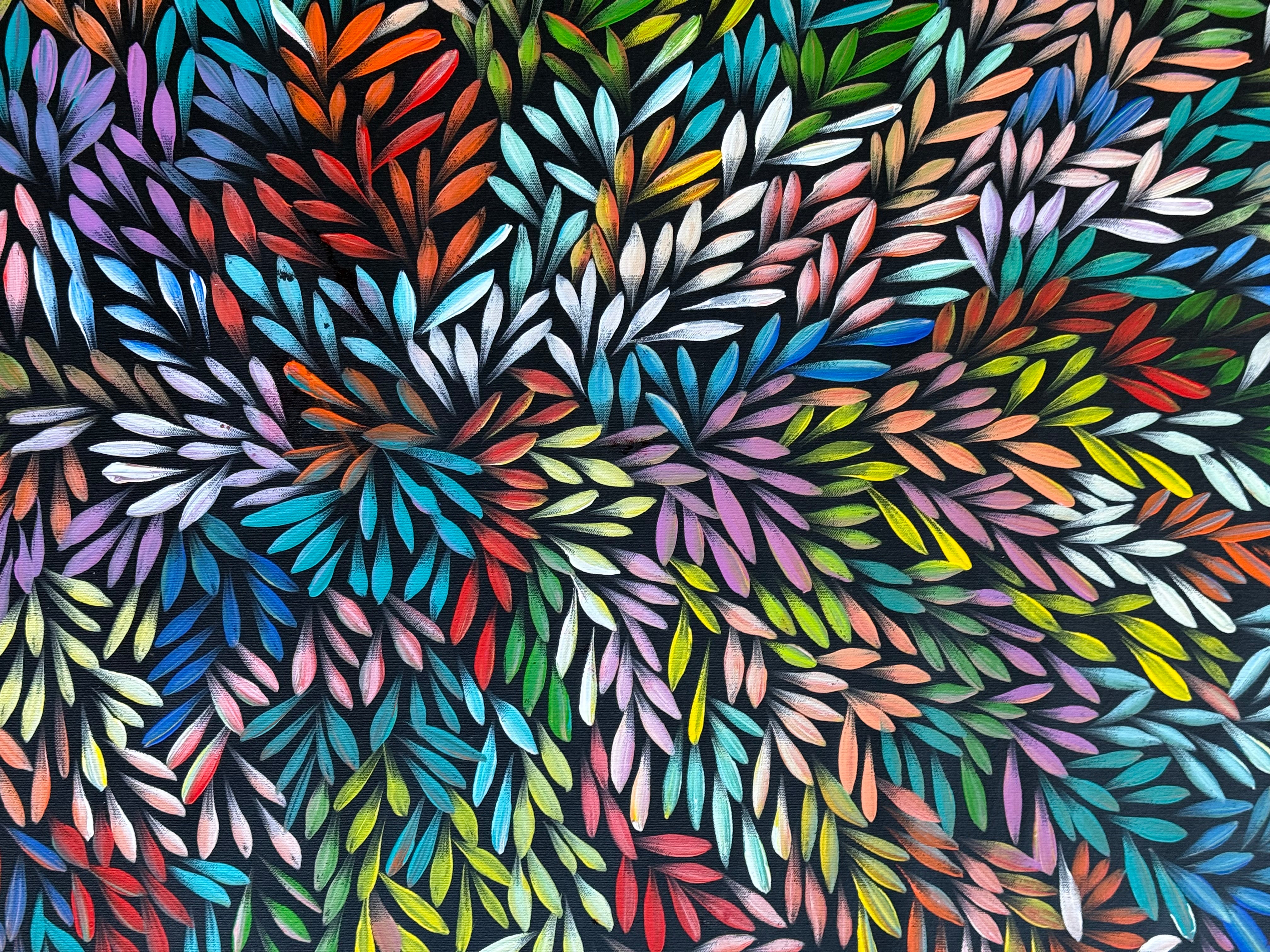 Sharon Numina - Bush Medicine Leaves .01-3