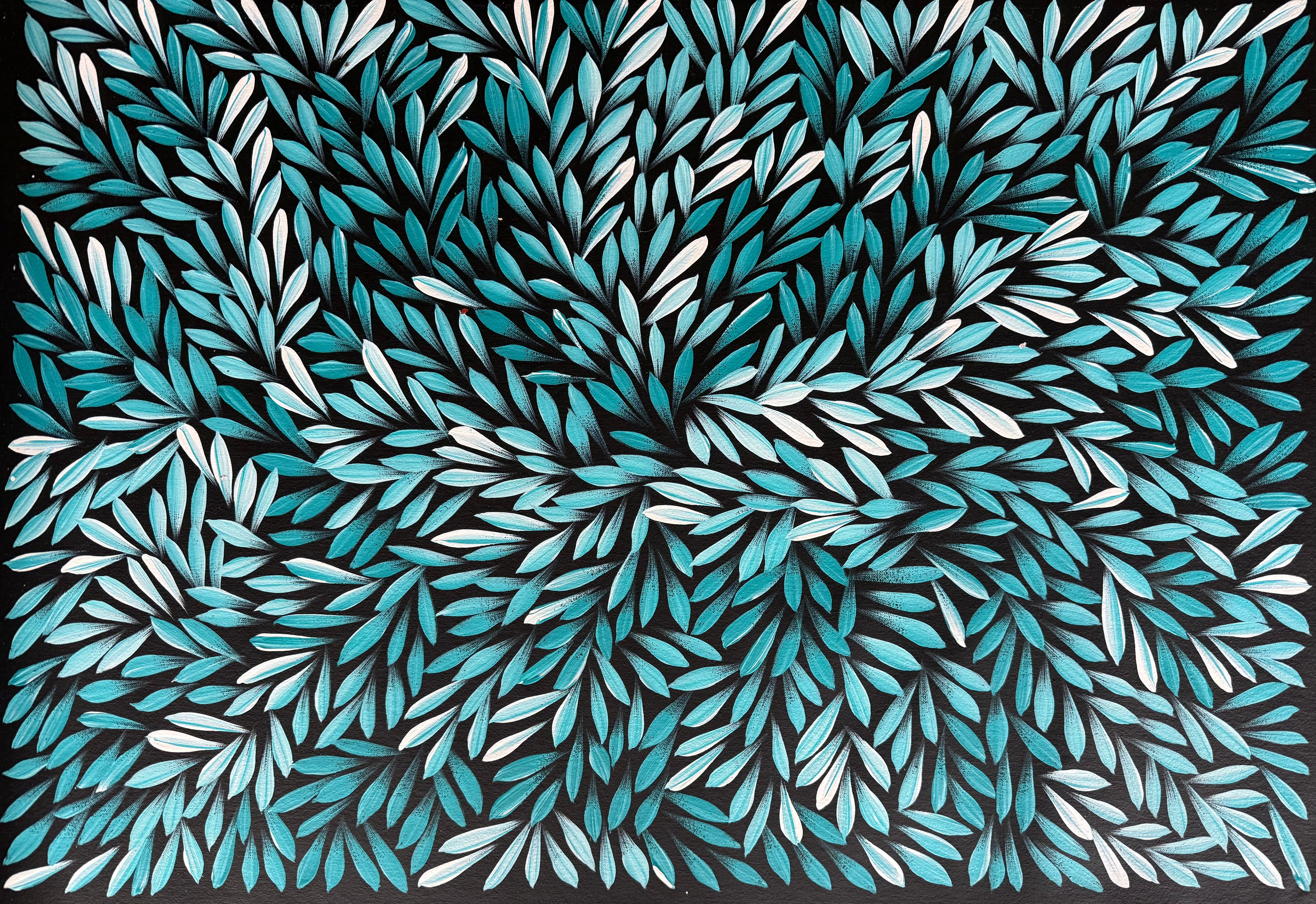 Sharon Numina - Bush Medicine Leaves .14-15