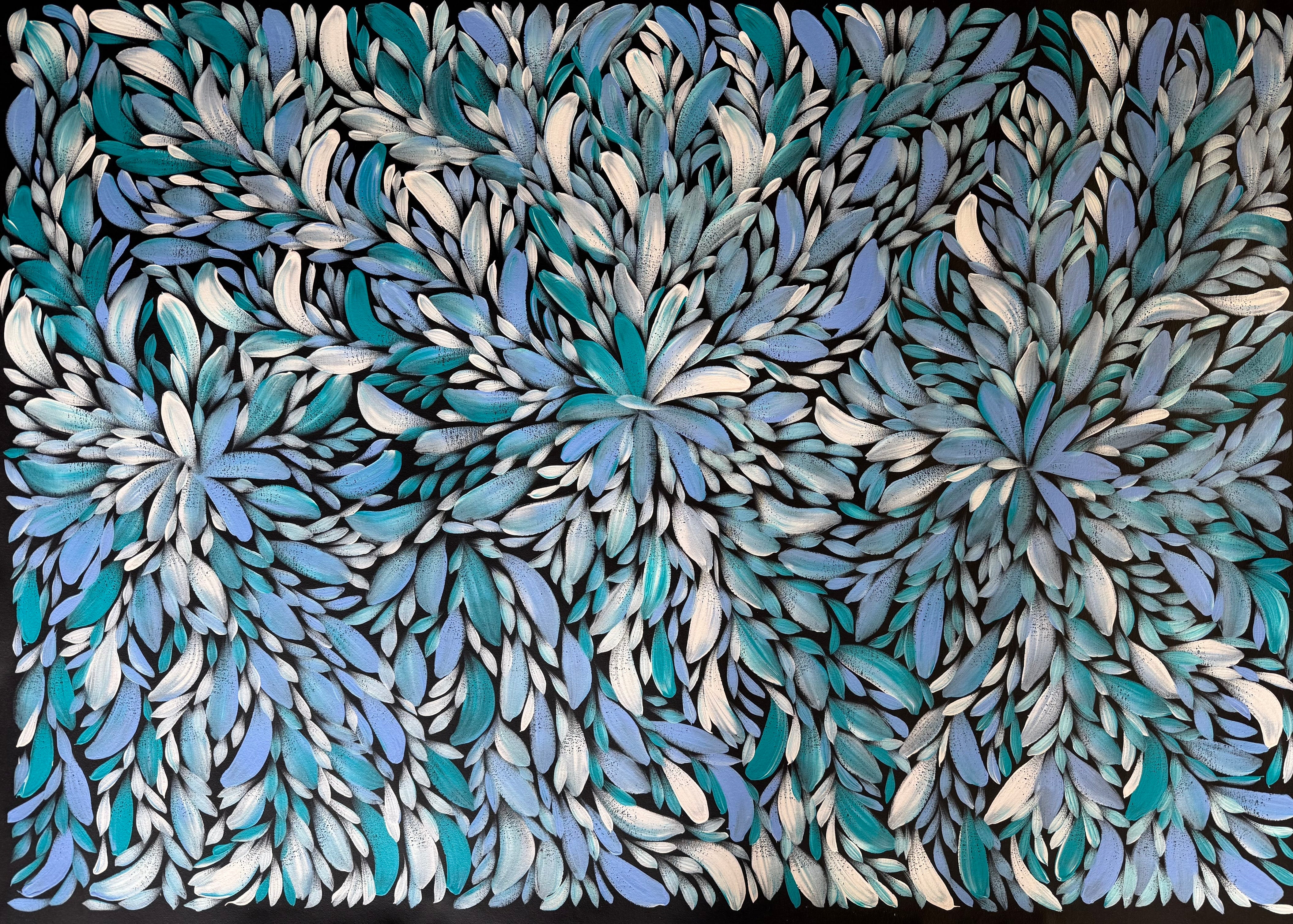 Louise Numina Napananka - Bush Medicine Leaves .00-9