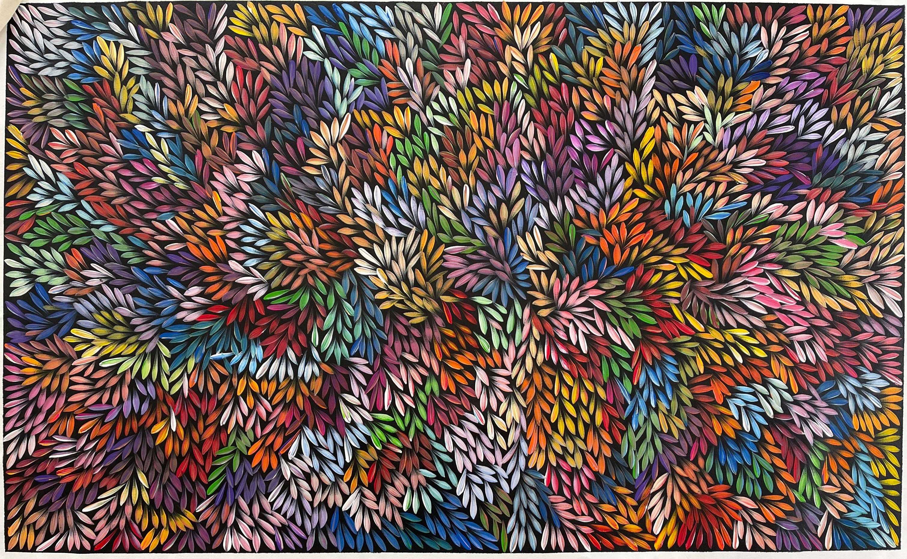 Sharon Numina - Bush Medicine Leaves - 153x95cm .55-26