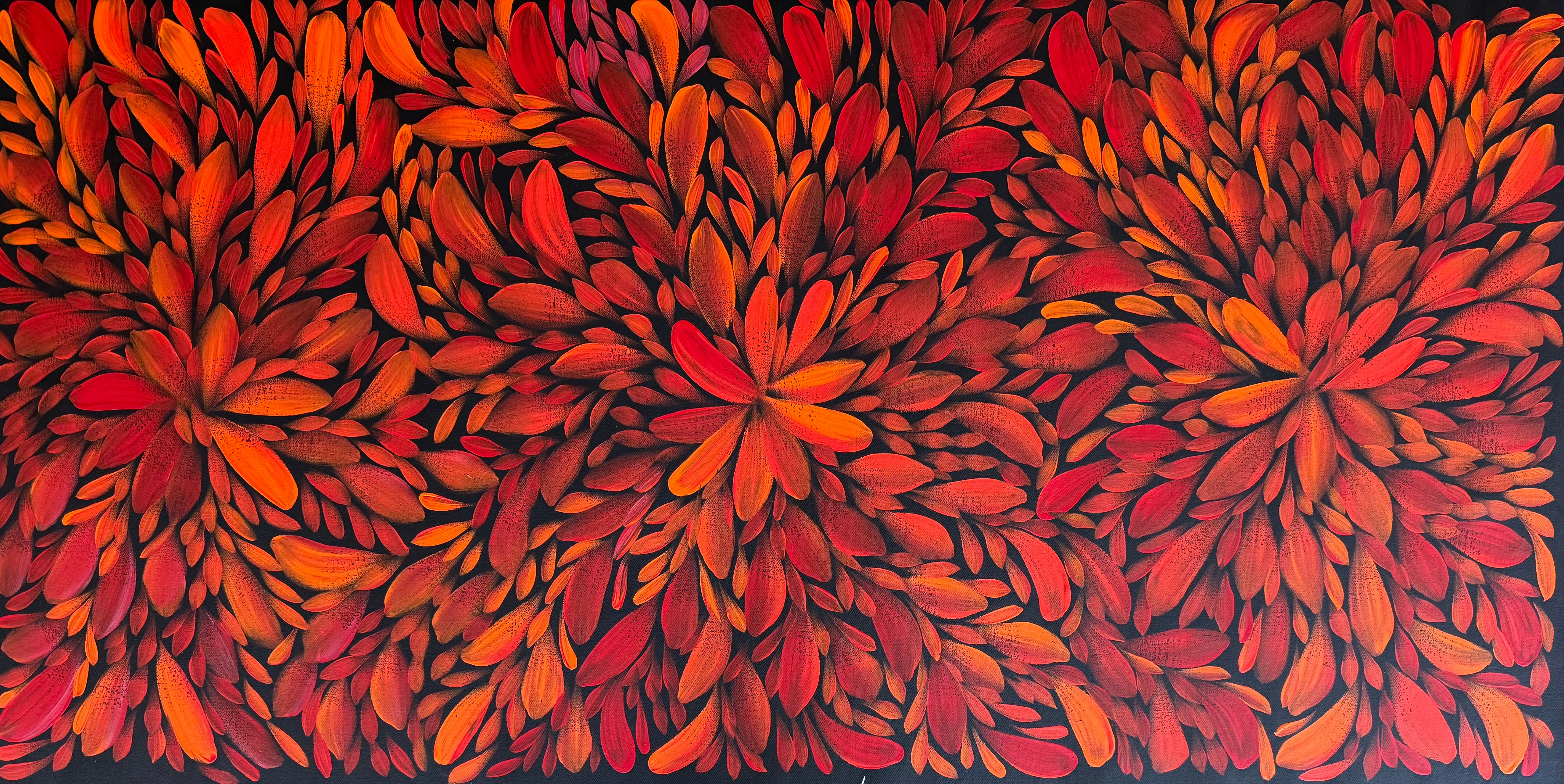 Louise Numina Napananka - Bush Medicine Leaves .57-44