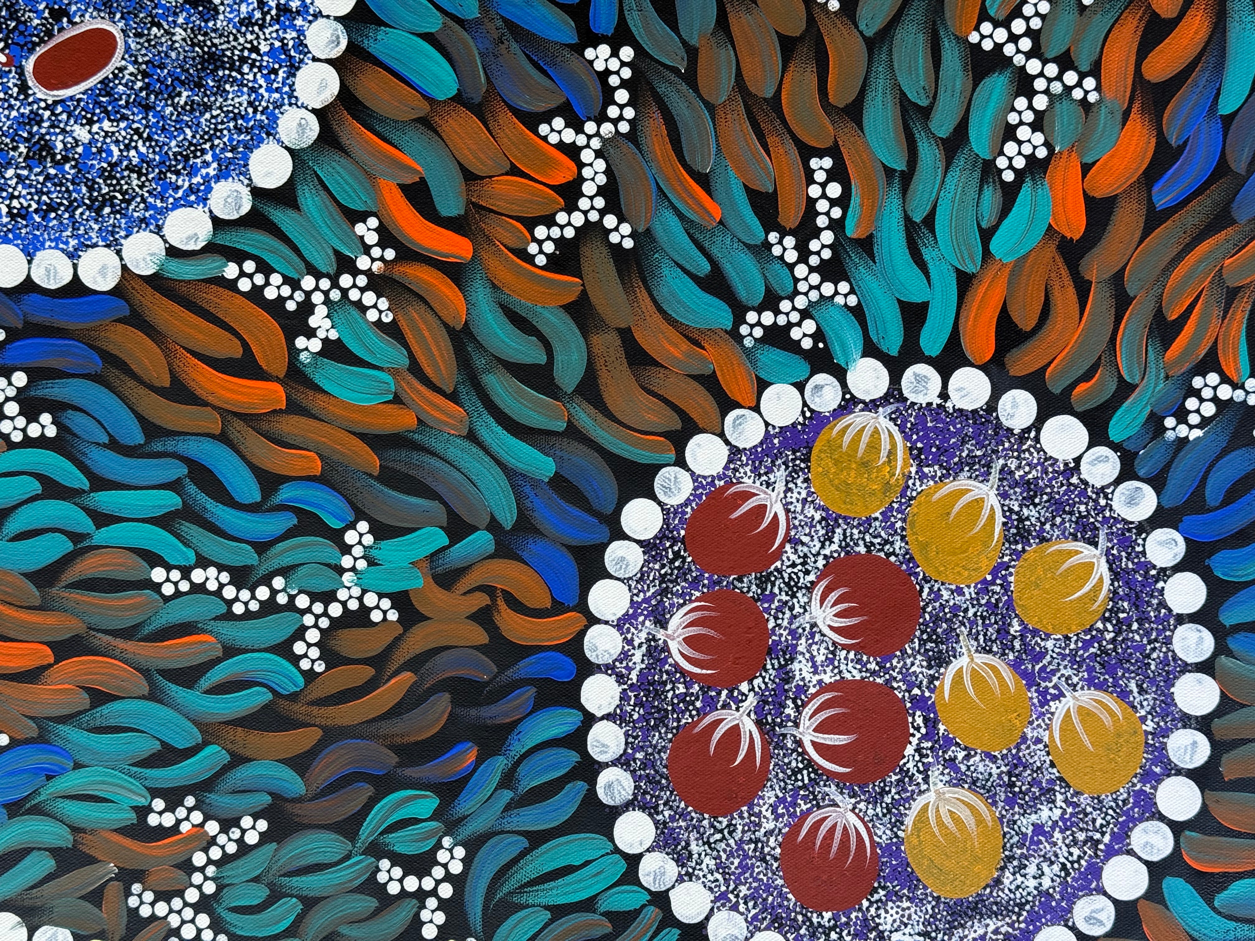 Sabina Gorey - Bush Medicine Leaves .04-5