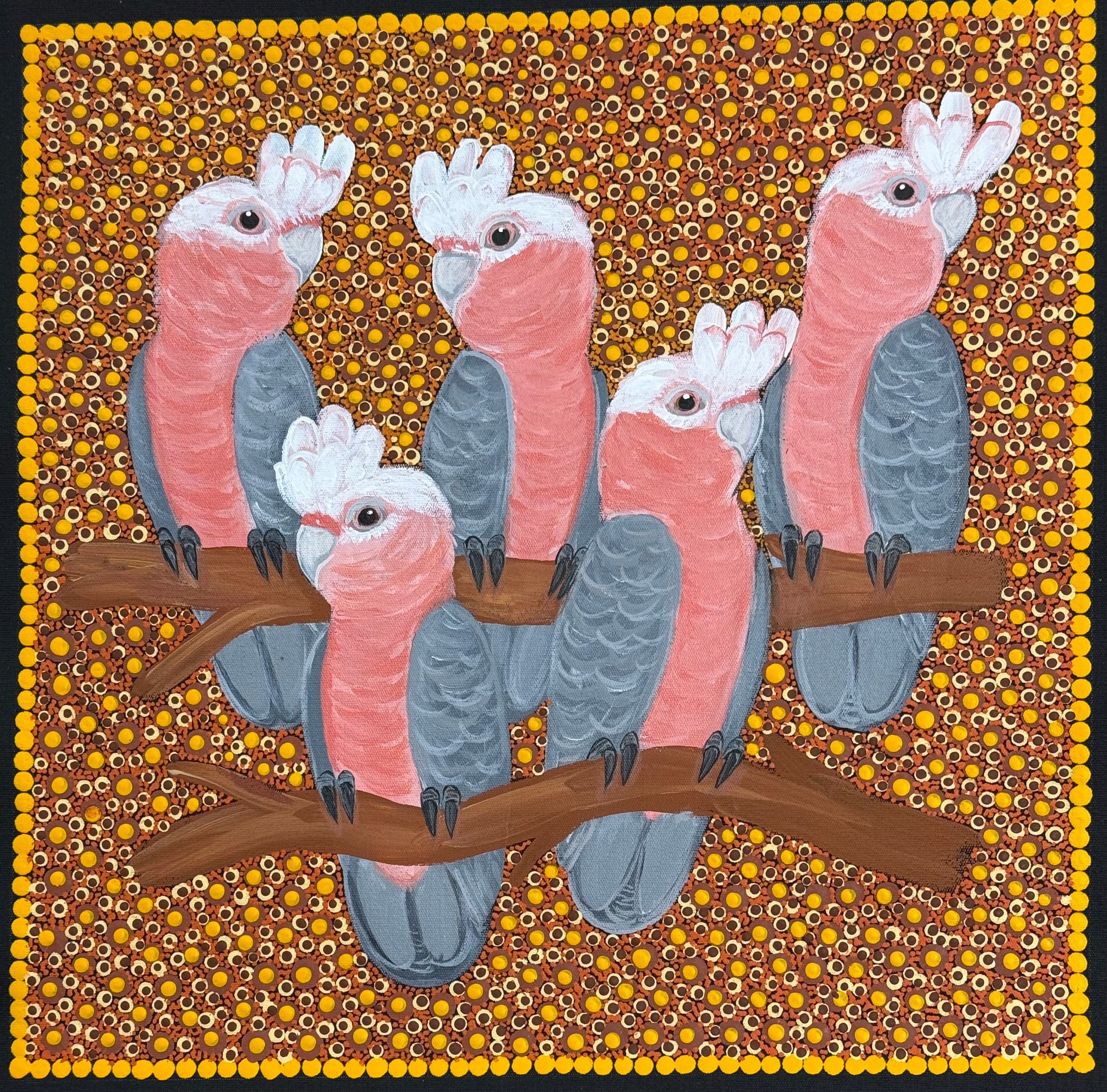 Kathleen Buzzacott - Galahs .41-13