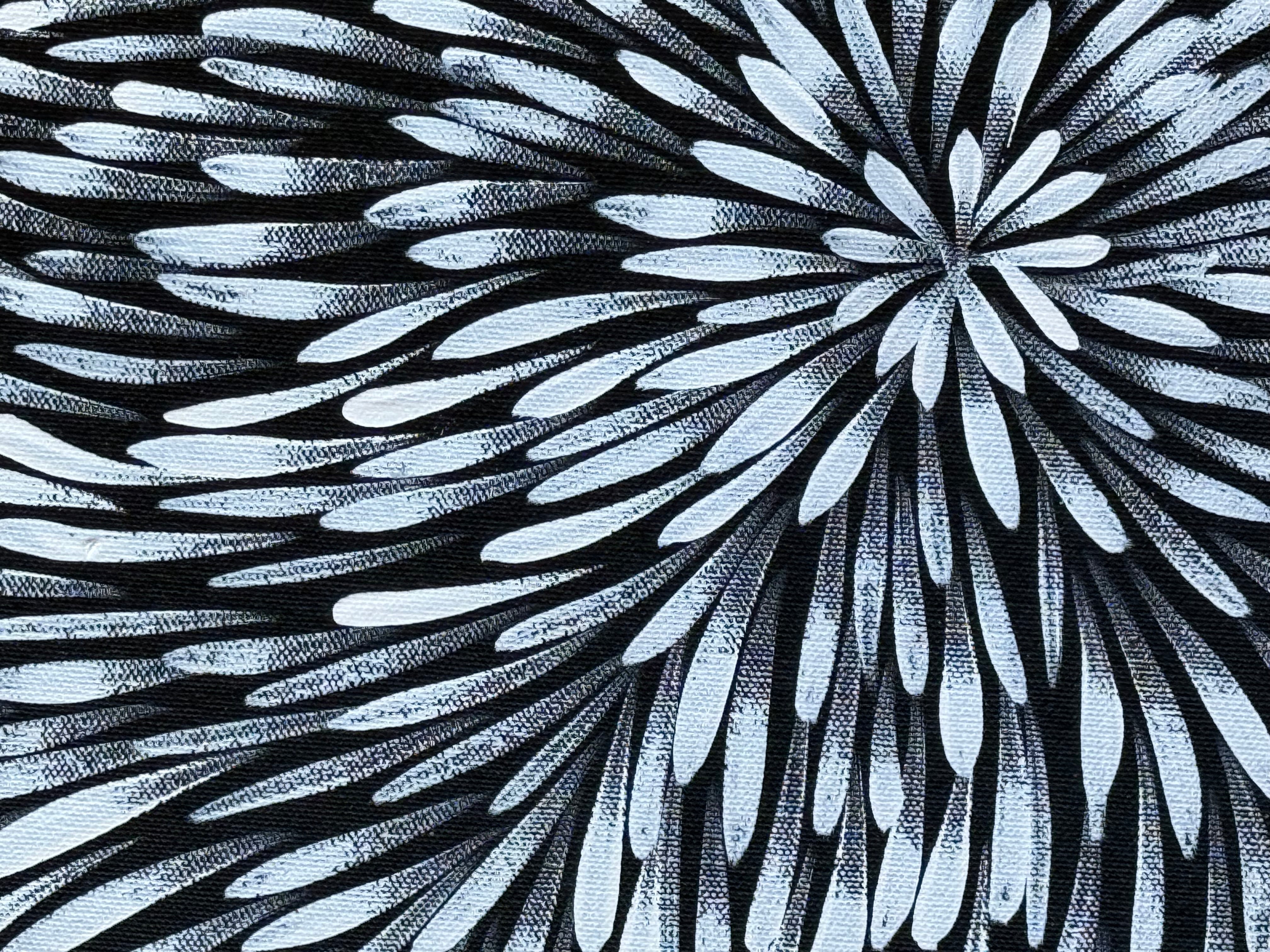 Sharon Numina - Bush Medicine Leaves .01-10