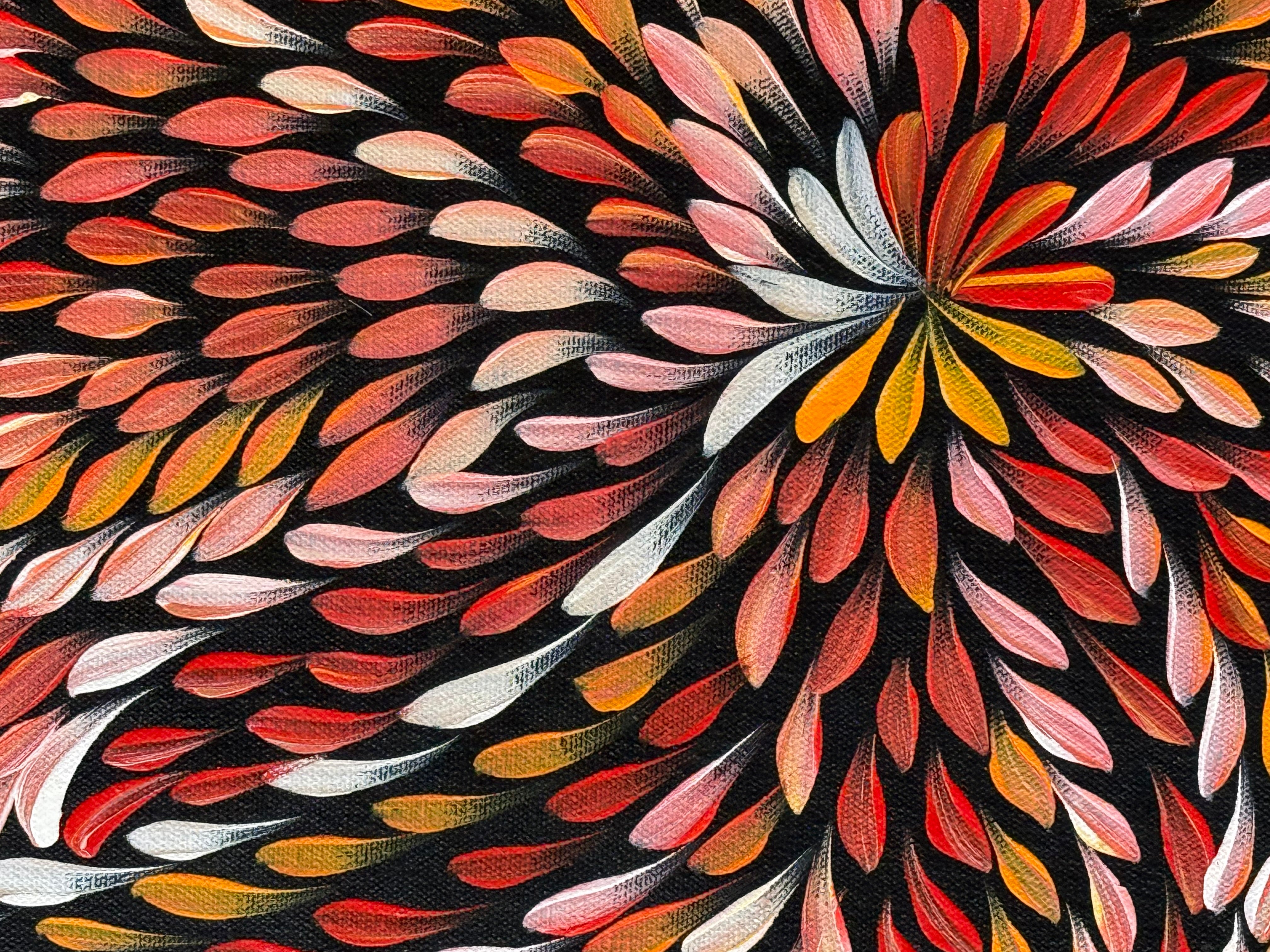 Caroline Numina - Bush Medicine Leaves .04-39