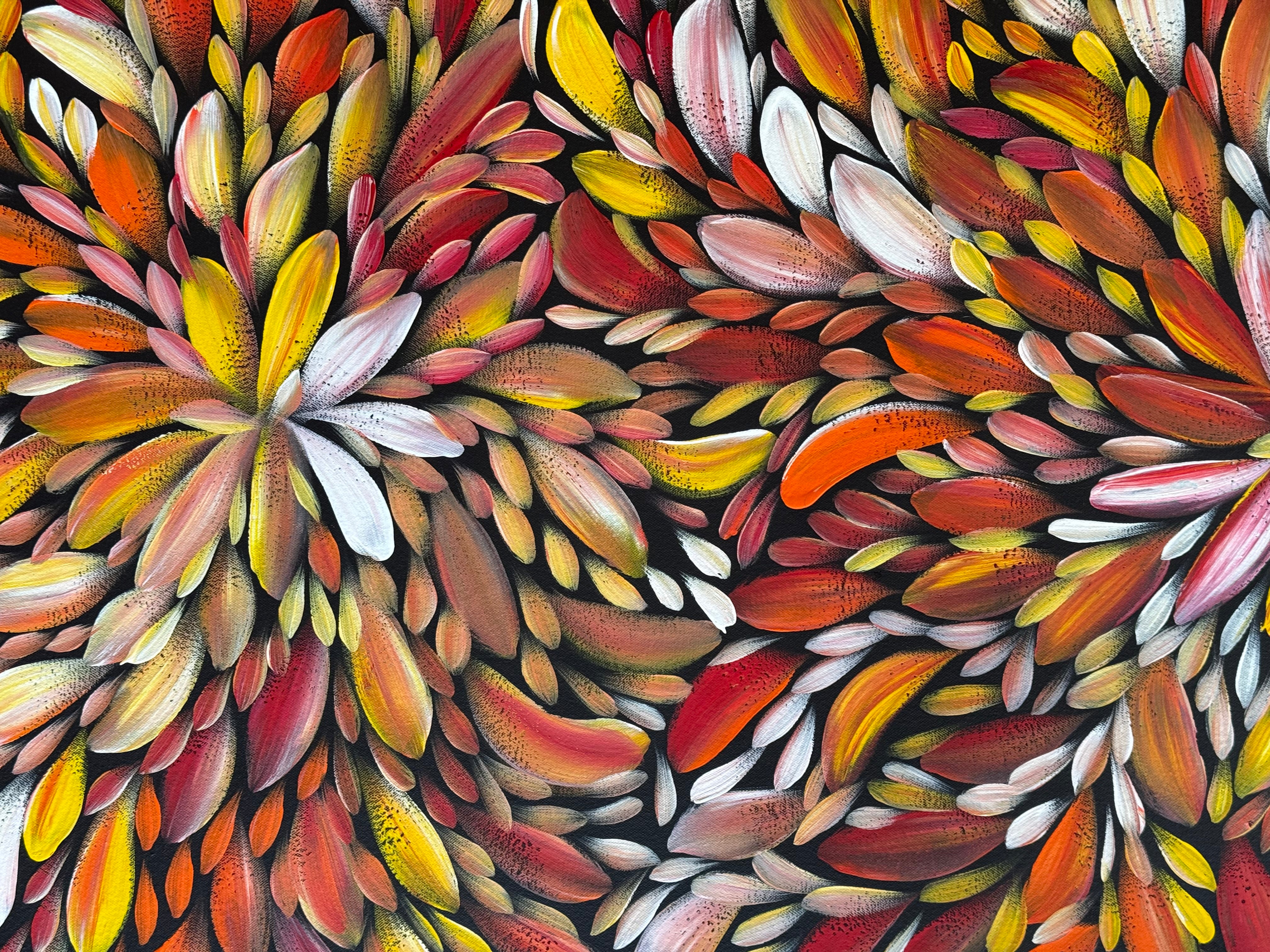 Louise Numina Napananka - Bush Medicine Leaves .21-16