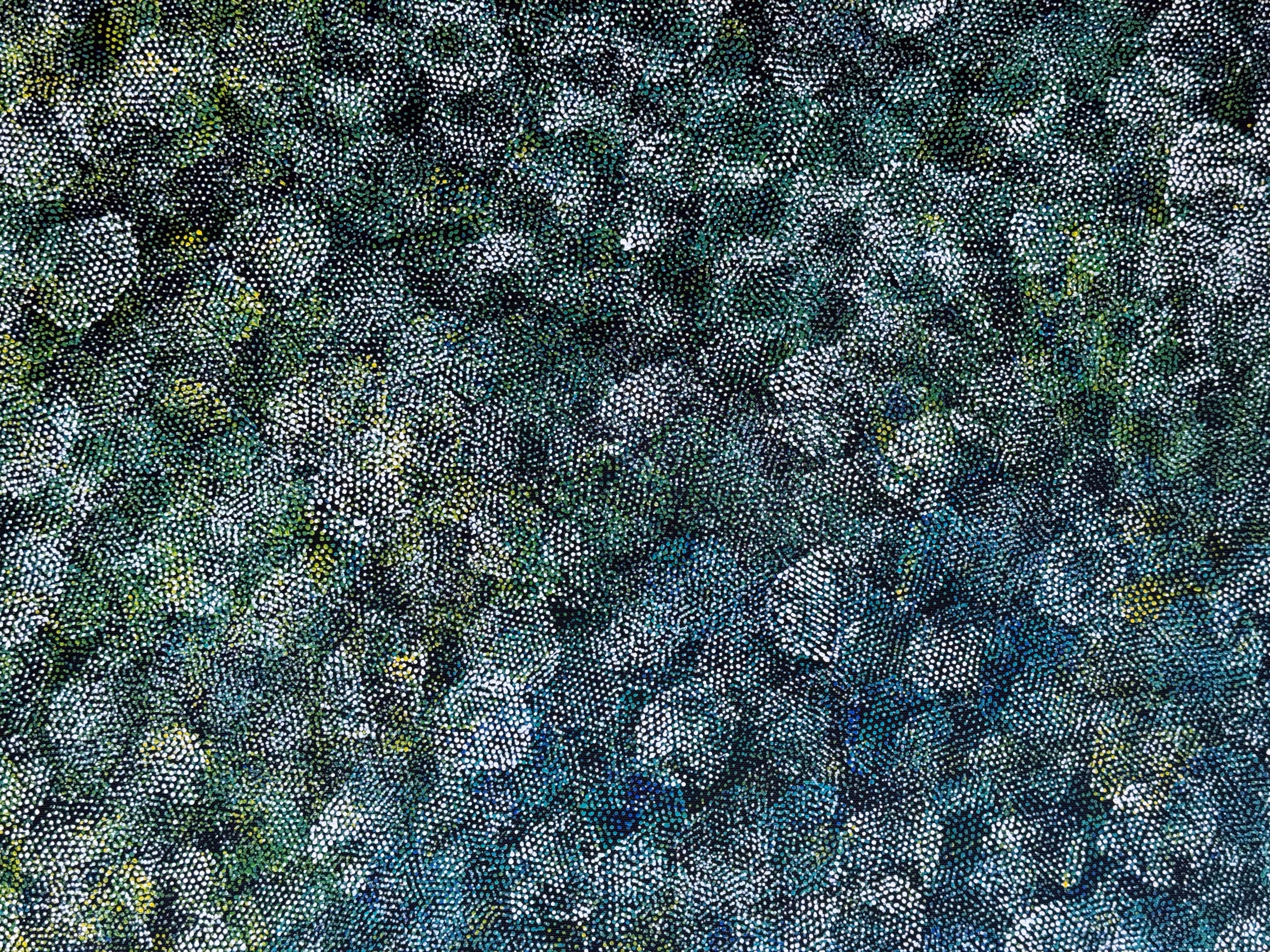 Lanita Numina - Thorny Lizard .47-6