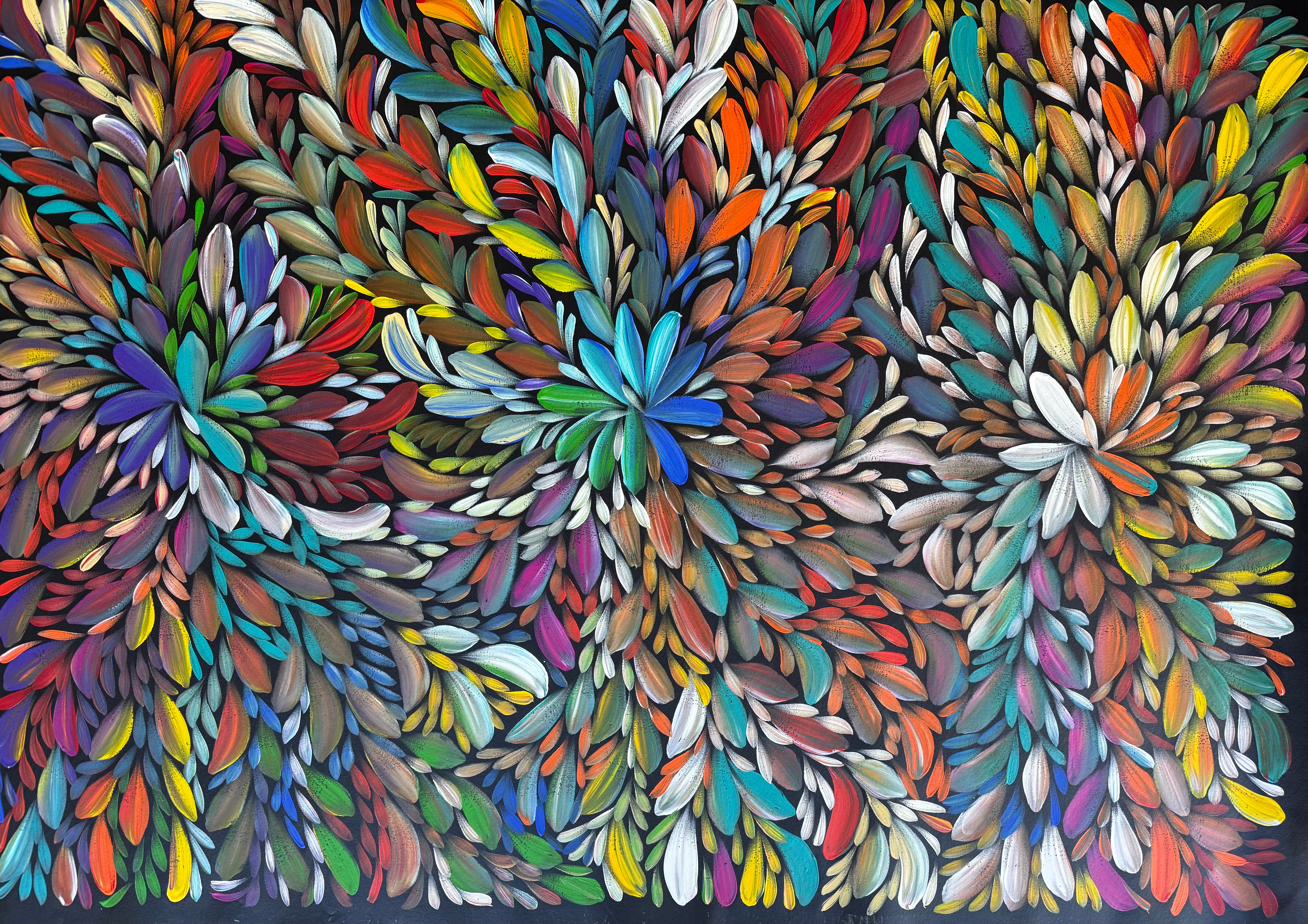 Louise Numina Napananka - Bush Medicine Leaves .49-37