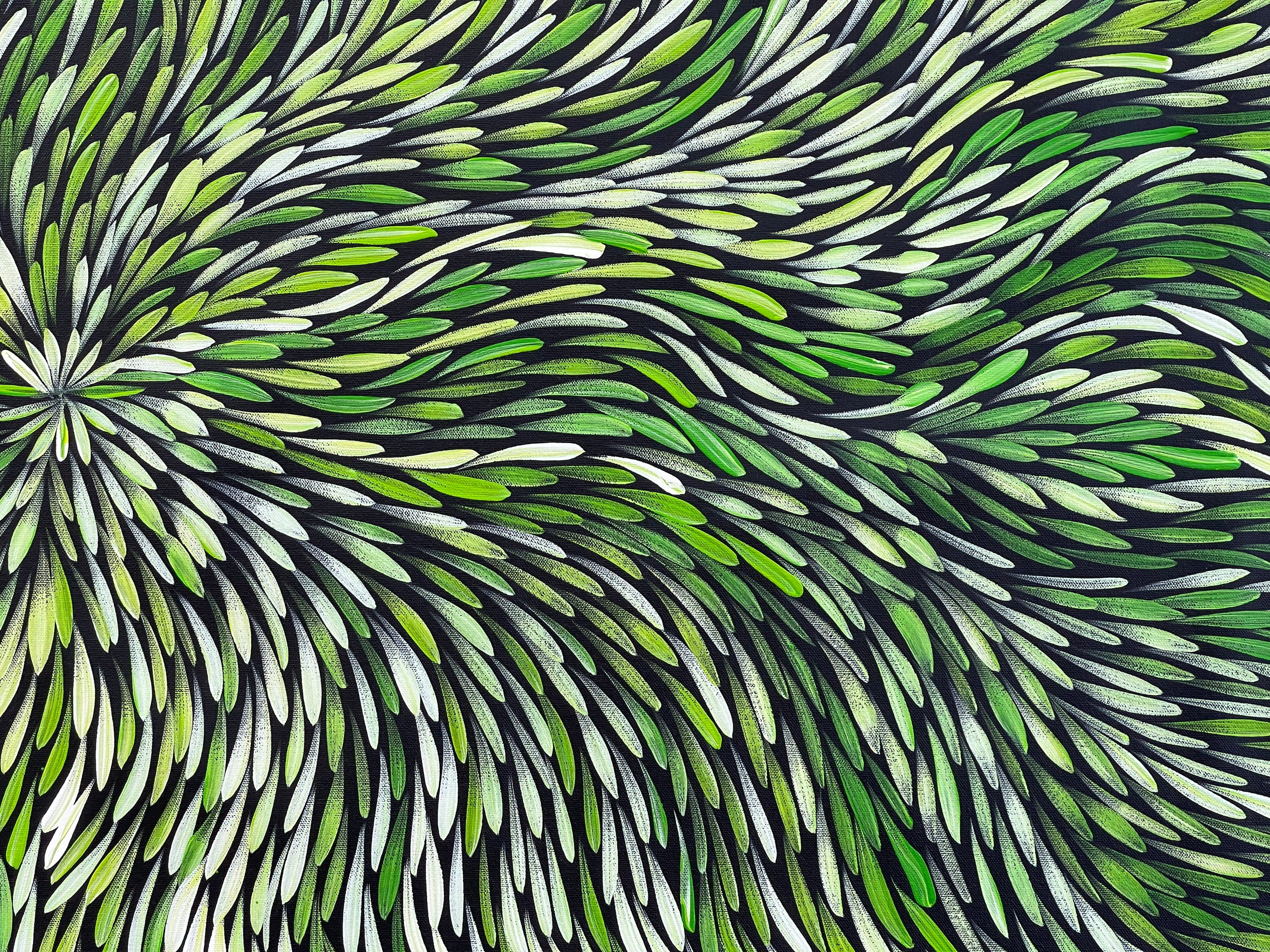 Sharon Numina - Bush Medicine Leaves - 143x67 .28-22