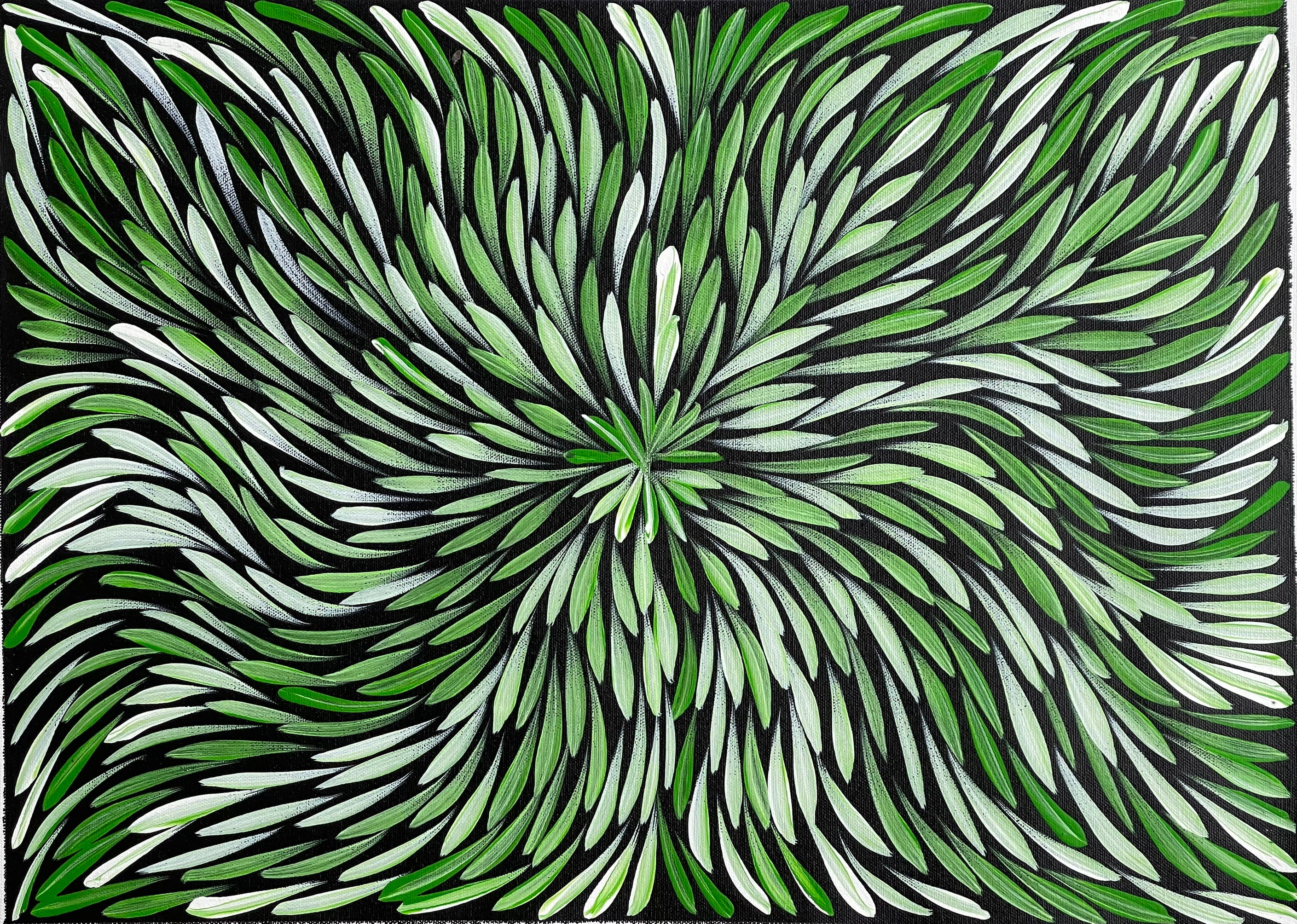 Sharon Numina - Bush Medicine Leaves- 38x52cm 91-19