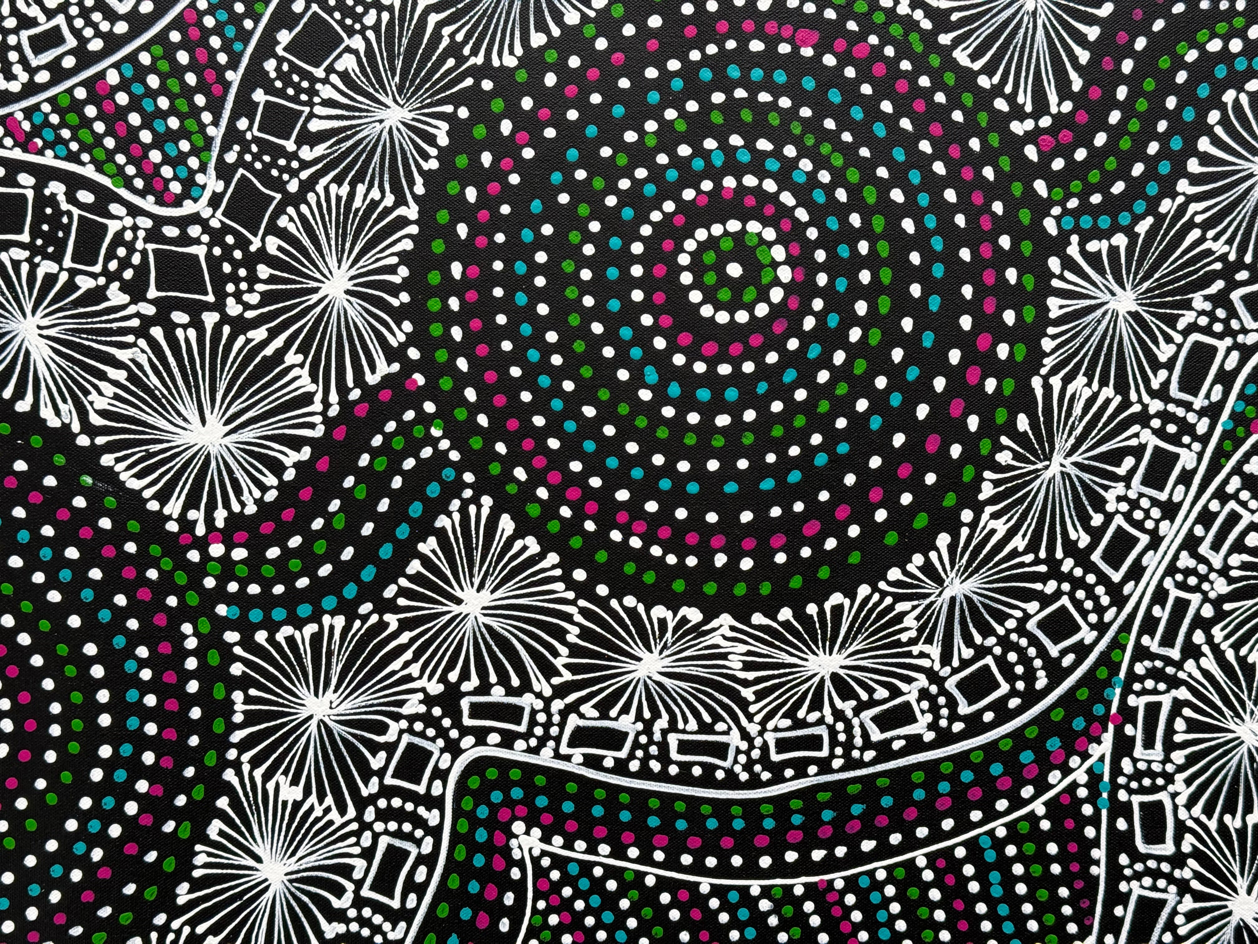 Selina Numina Kamprina - Seeds and Waterholes .92-2