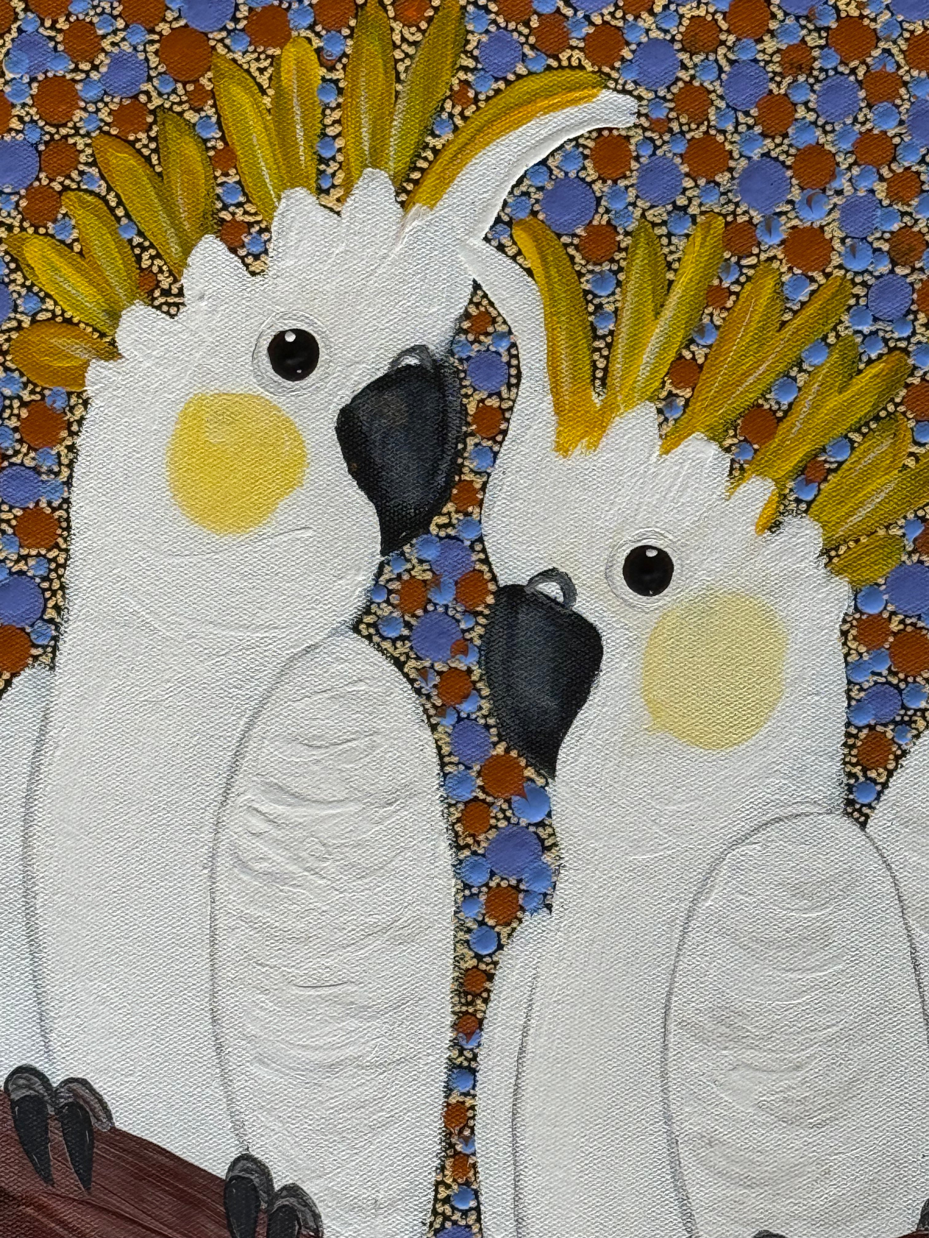 Kathleen Buzzacott - Sulphur Crested Cockatoos .17-11