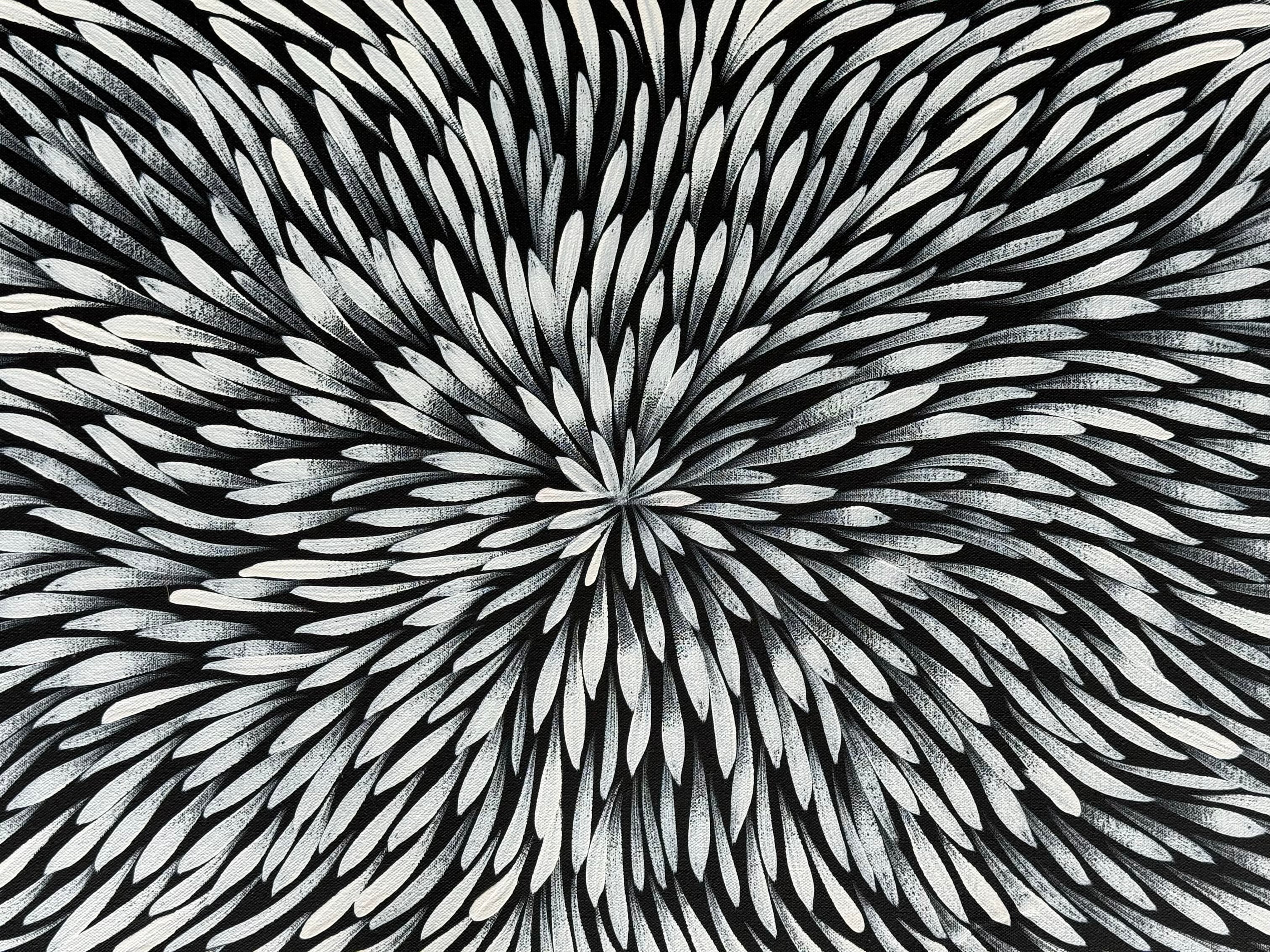 Sharon Numina - Bush Medicine Leaves .59-6