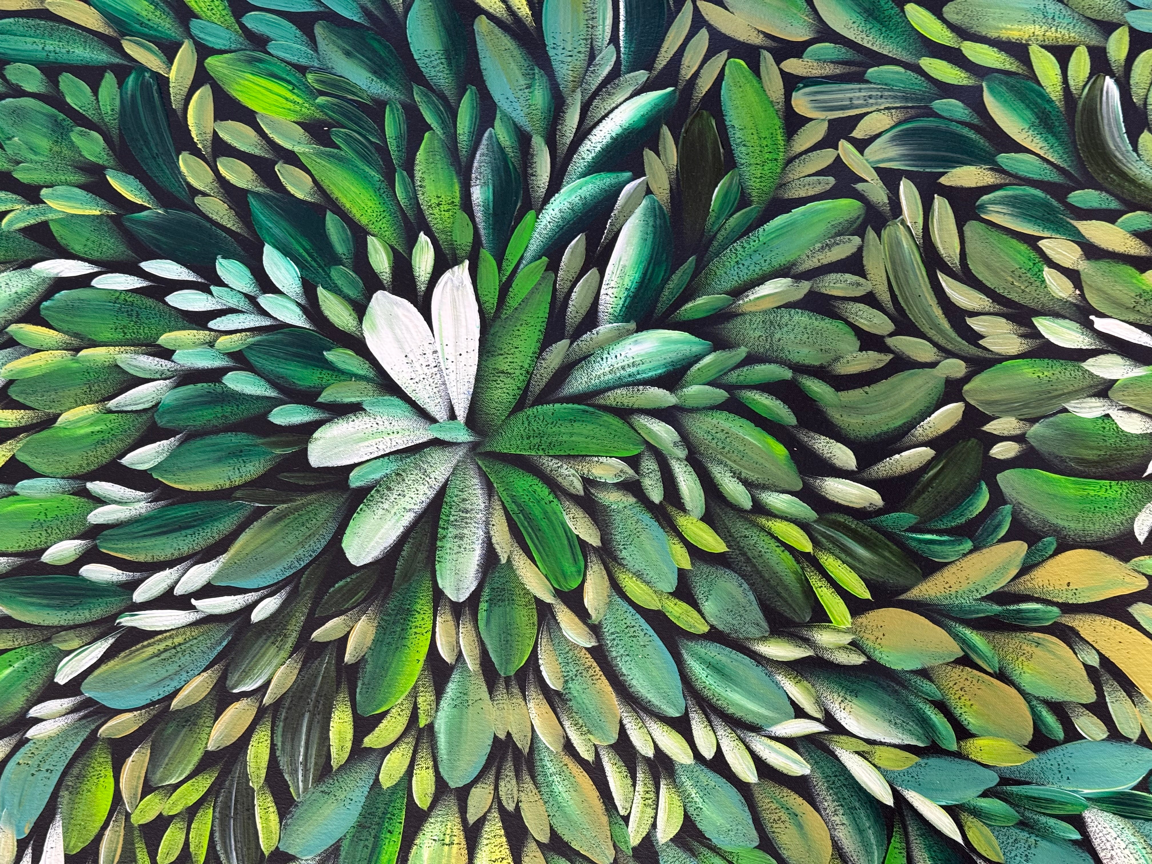 Louise Numina Napananka - Bush Medicine Leaves .22-11