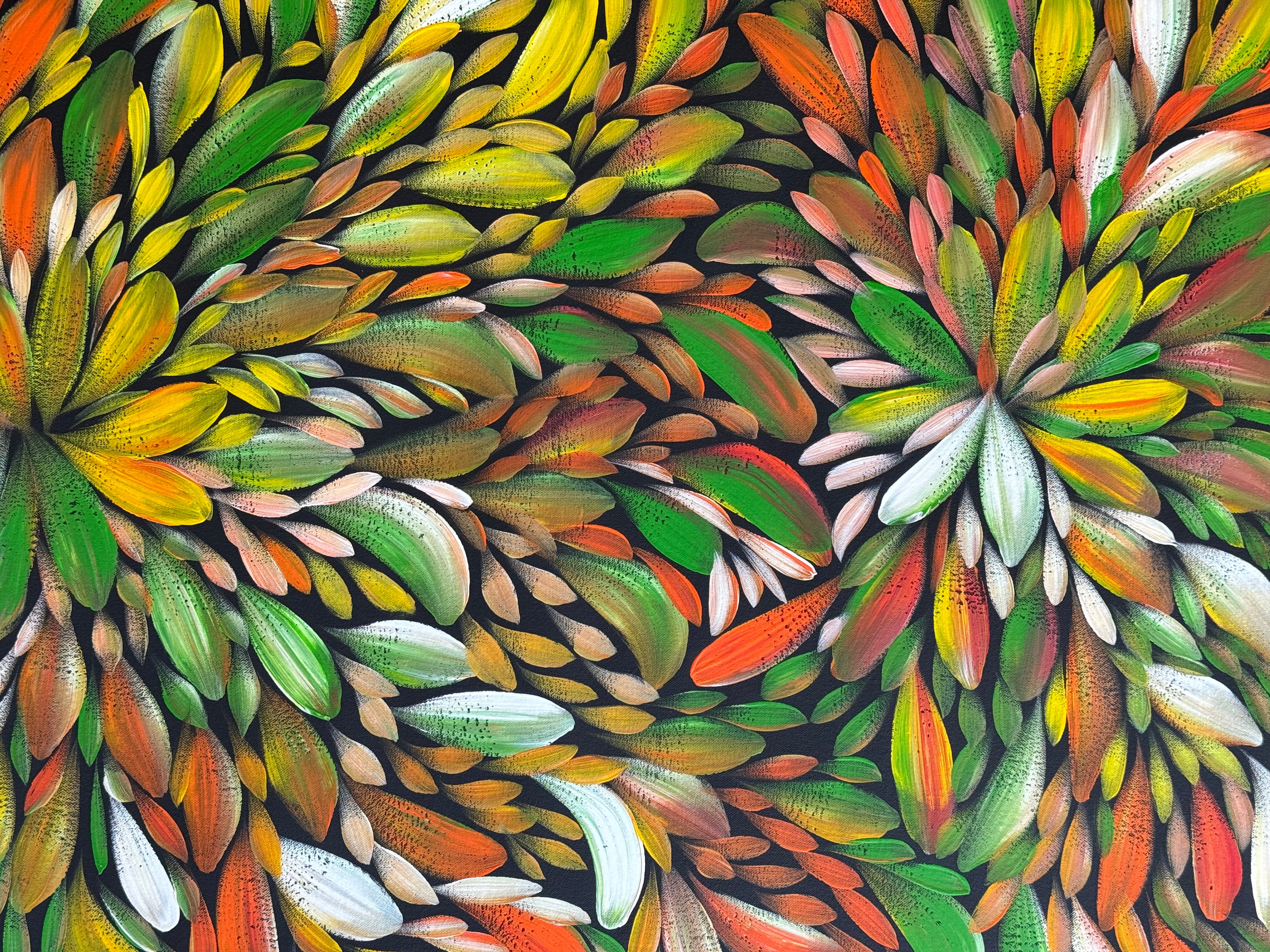 Louise Numina Napananka - Bush Medicine Leaves .57-54