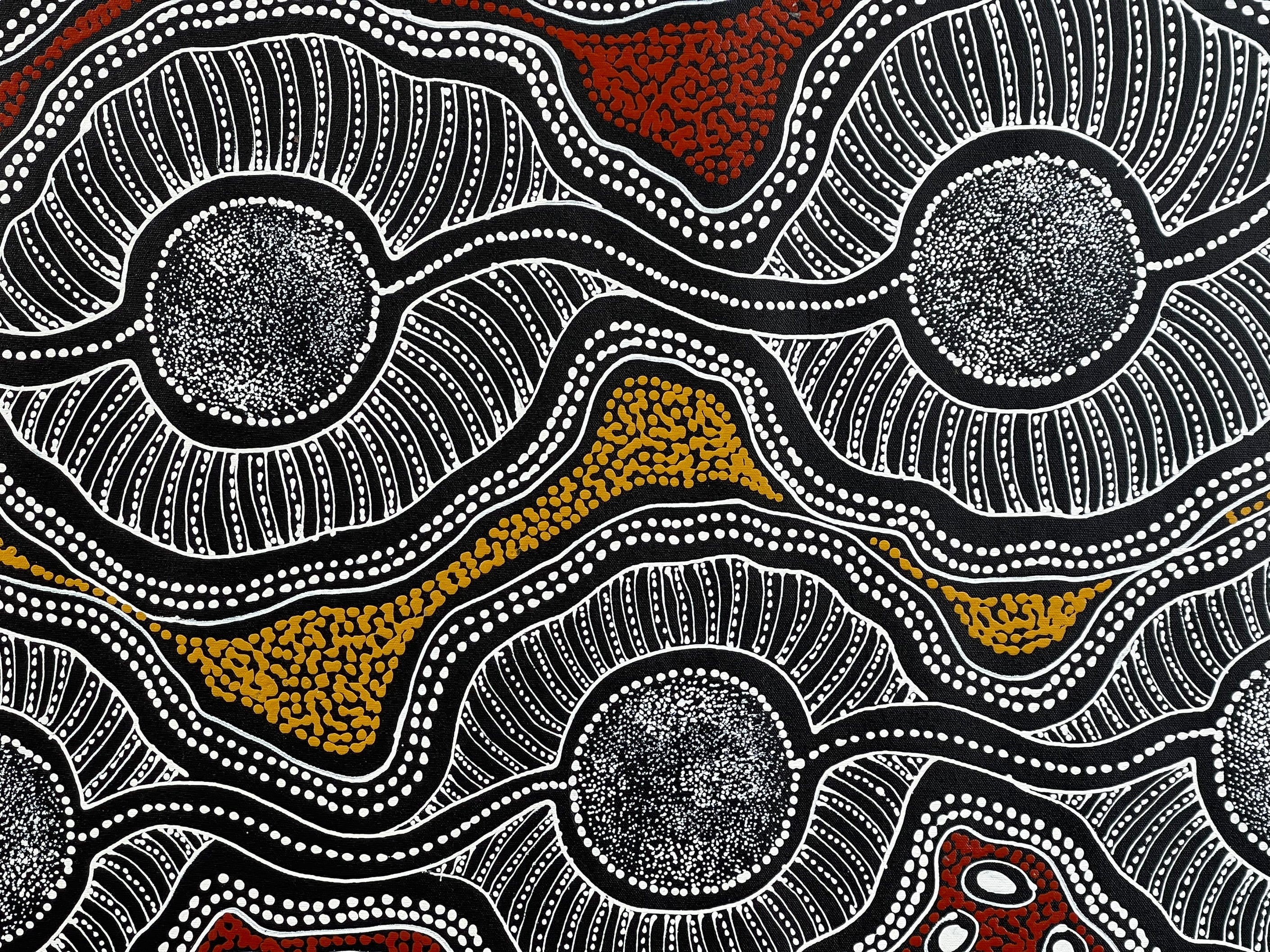 Sharon Numina - Bush Plum (Ahakeye) Dreaming, My Mother's Country - 143x88cm .81-17
