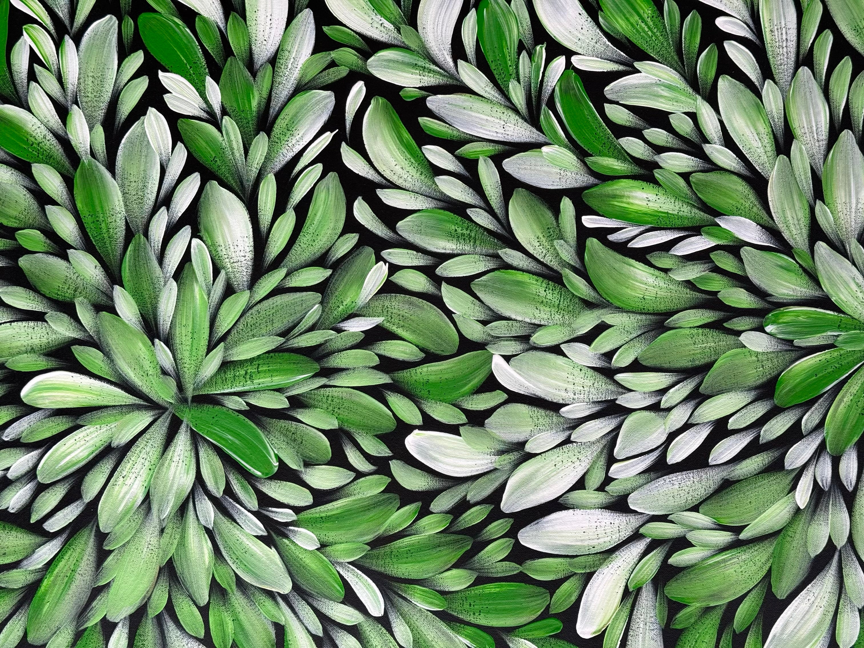 Louise Numina Napananka - Bush Medicine Leaves .57-55