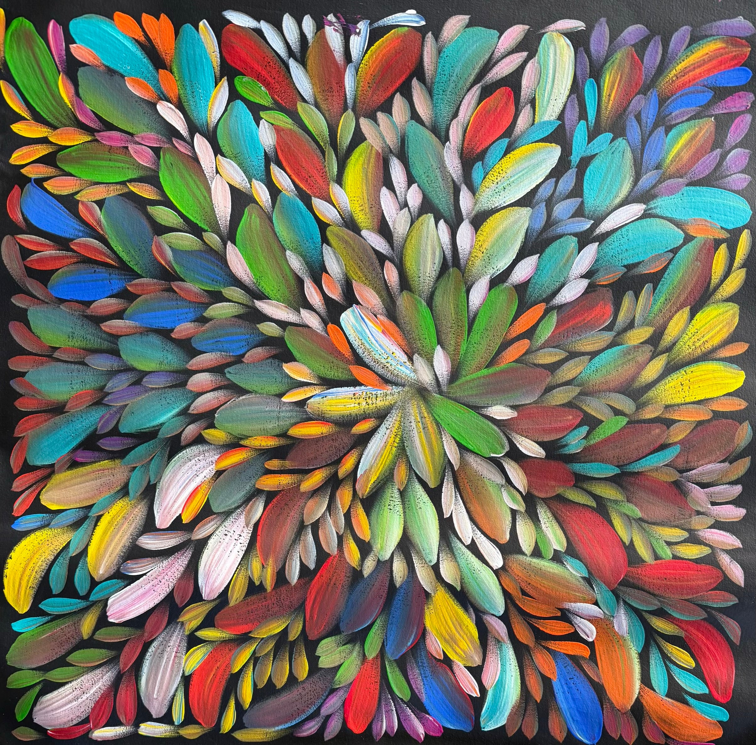 Louise Numina Napananka - Bush Medicine Leaves .49-12