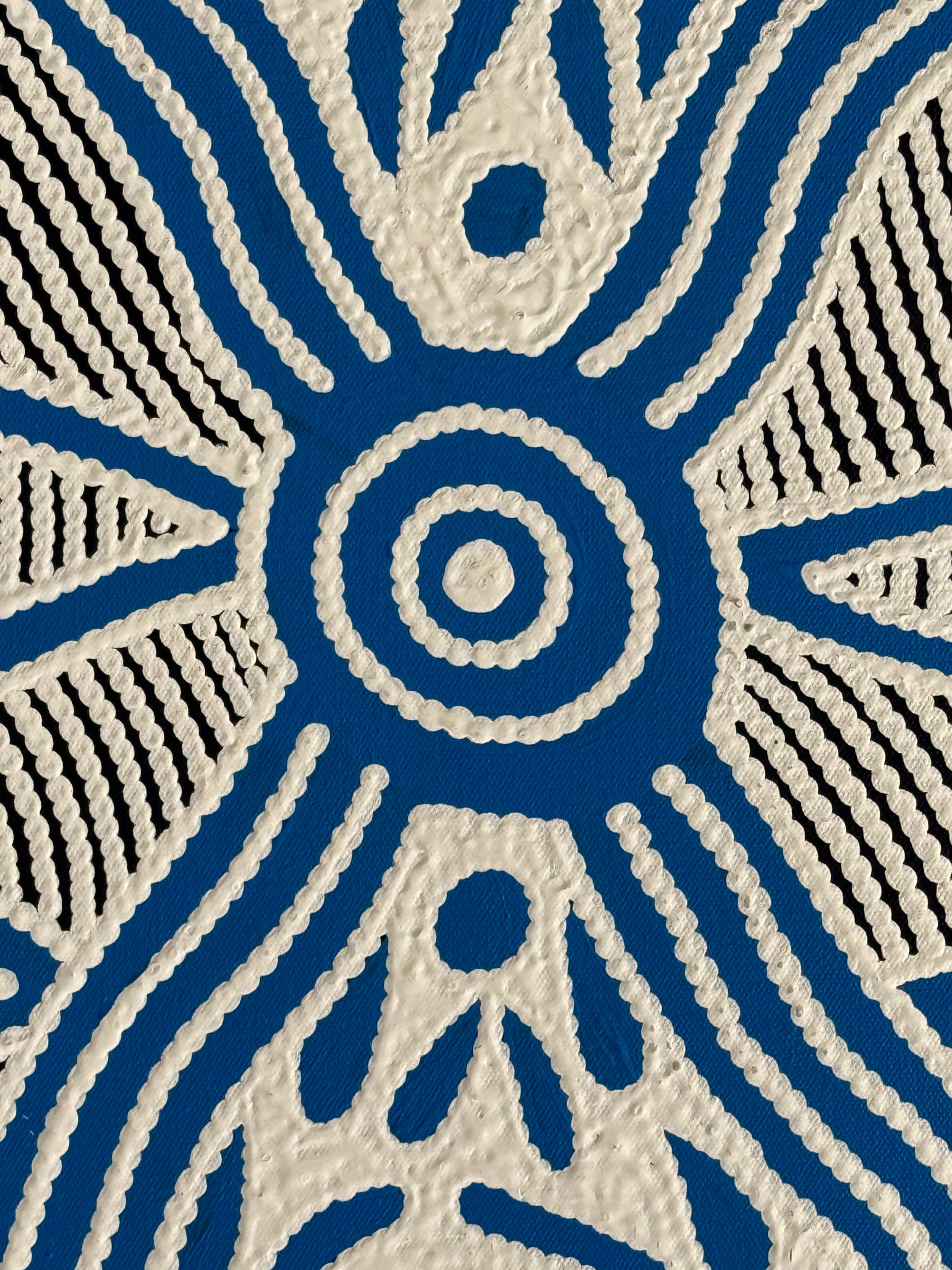 Ursula Napangardi Hudson - Pikilyi Jukurrpa (Vaughan Springs Dreaming) - 46x30