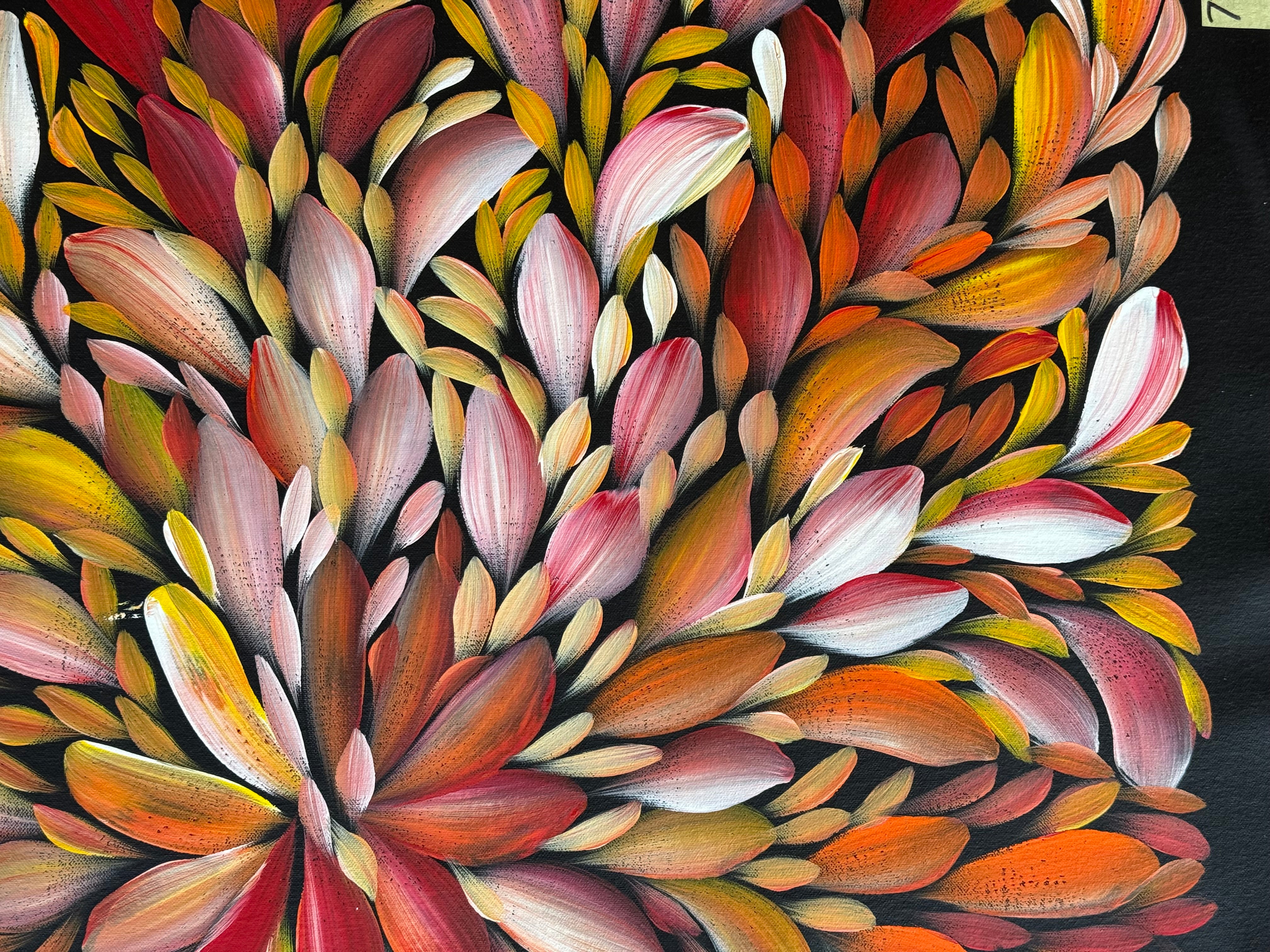 Louise Numina Napananka - Bush Medicine Leaves .75-19