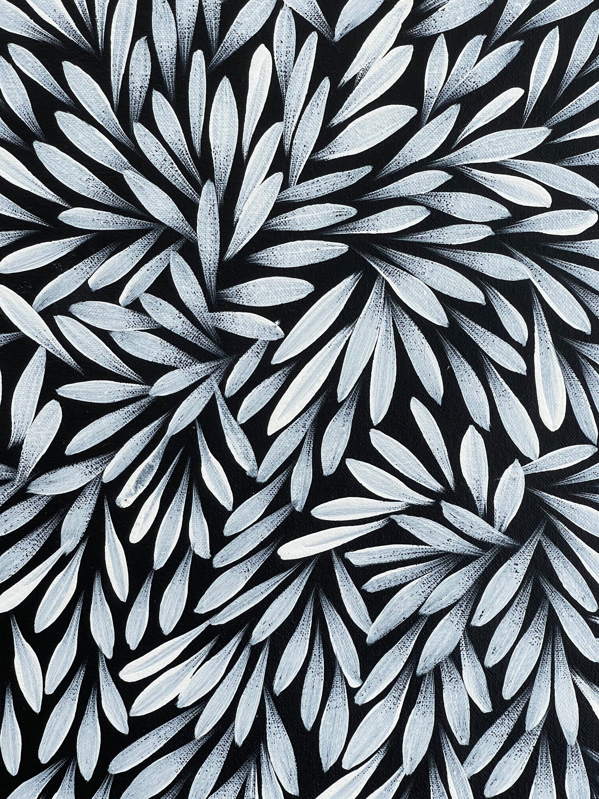 Sharon Numina - Bush Medicine Leaves - 53x55cm .28-18