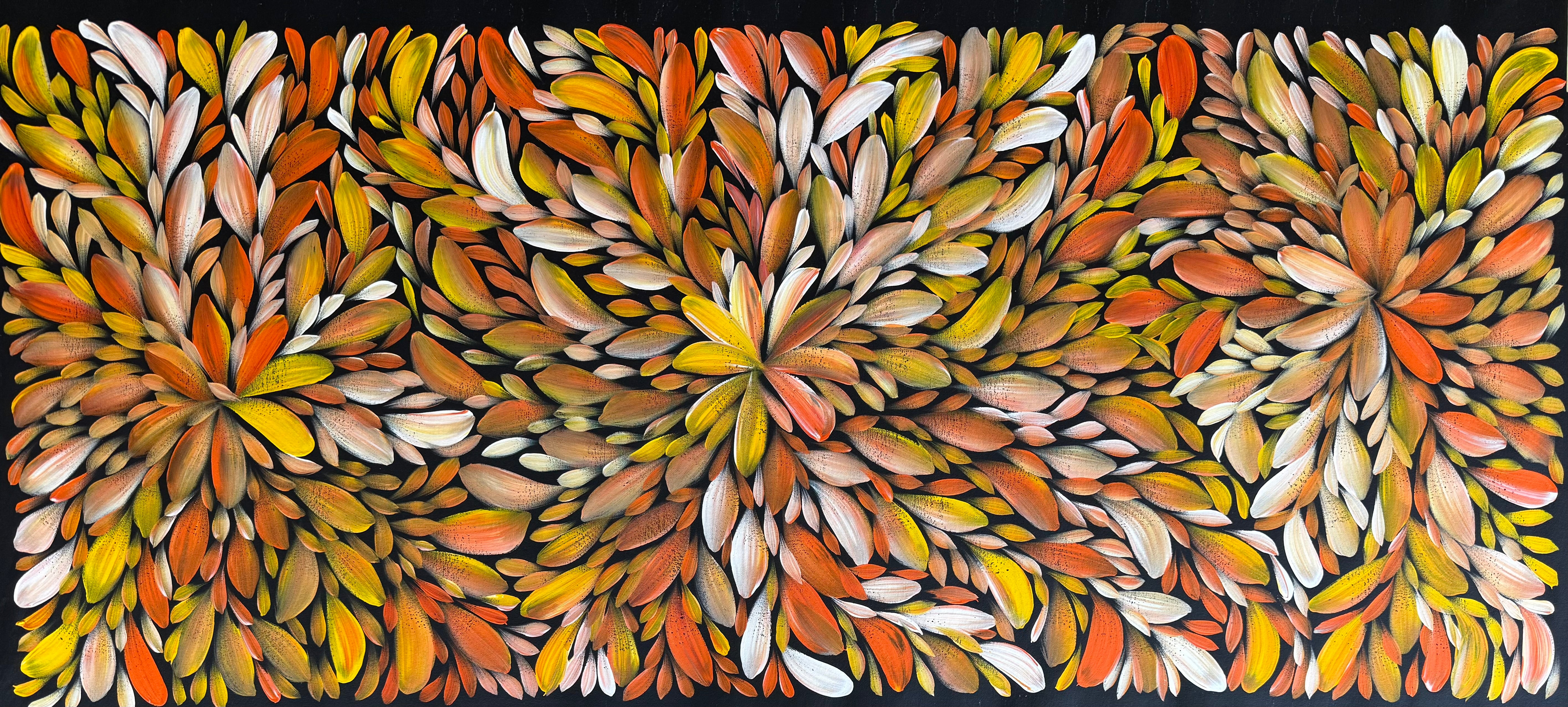 Louise Numina Napananka - Bush Medicine Leaves .57-58