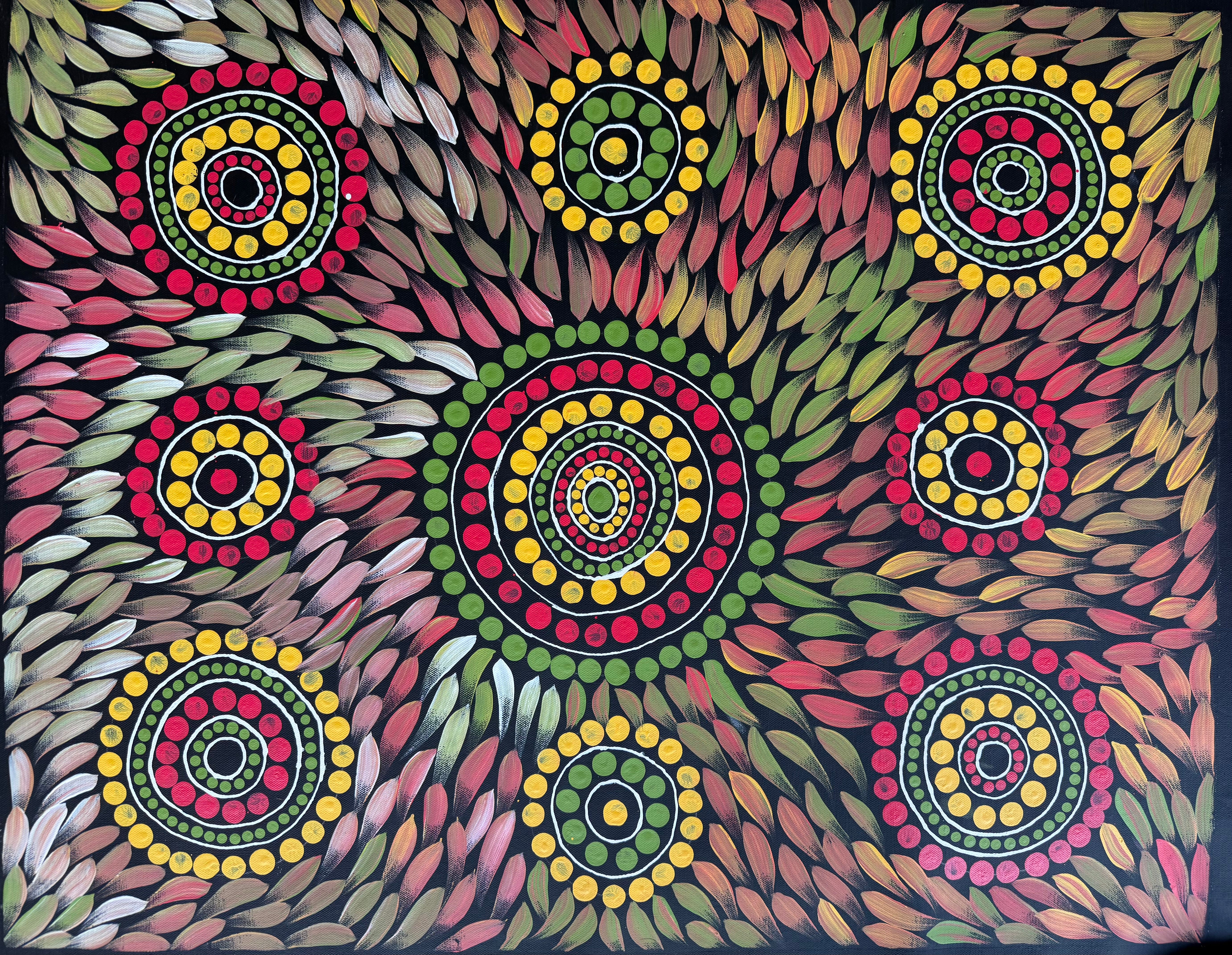 Sabina Gorey - Bush Medicine Leaves .04-3