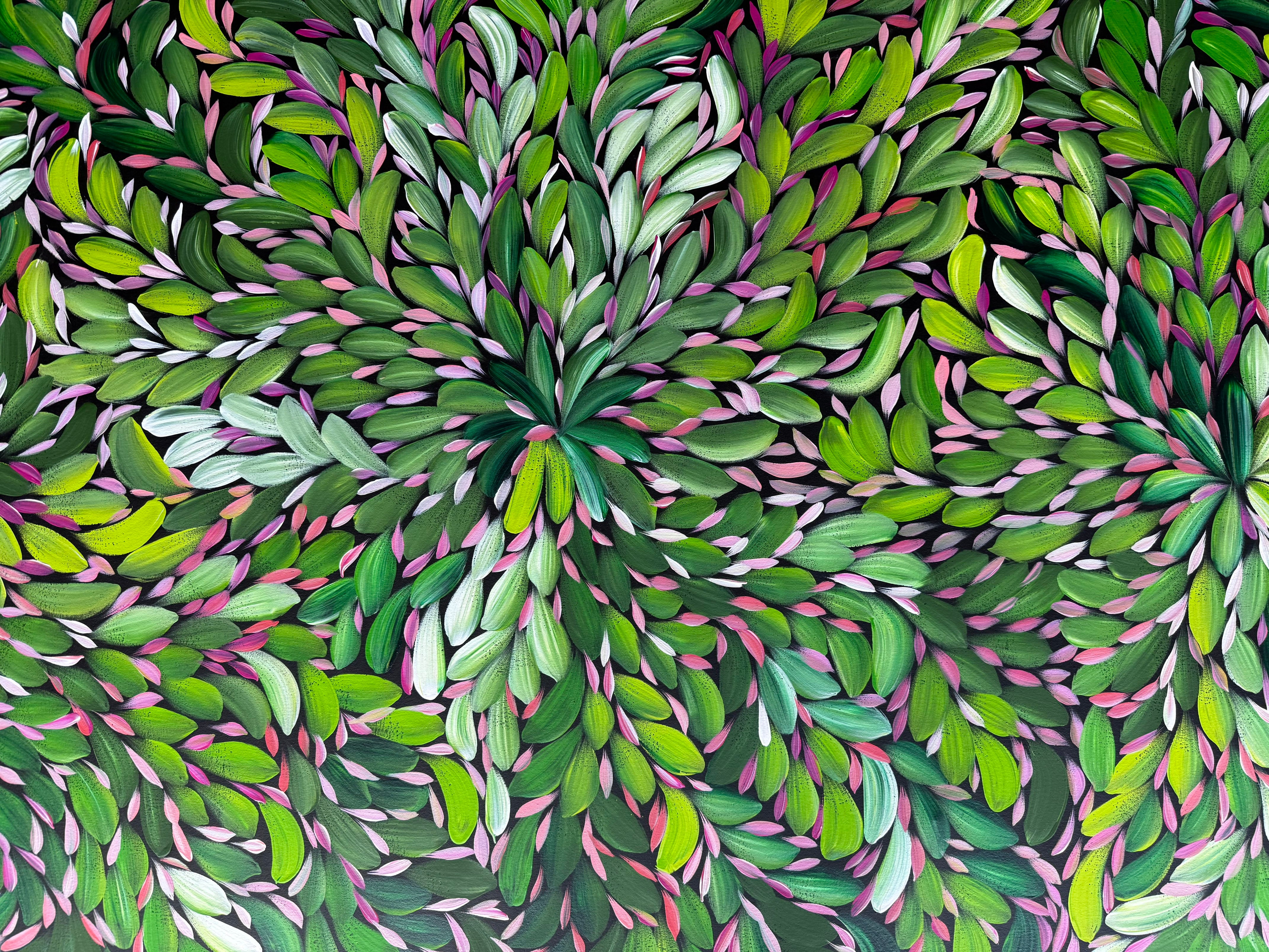 Louise Numina Napananka - Bush Medicine Leaves .23-7