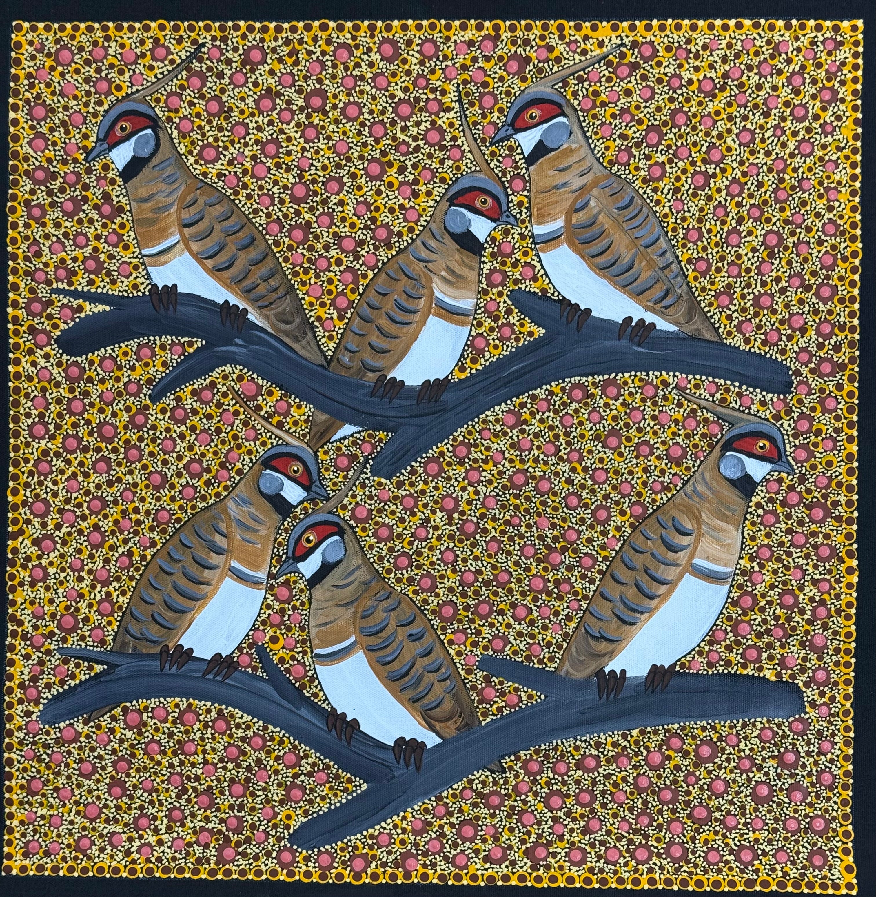 Kathleen Buzzacott - Spinifex Pigeon. .41-12