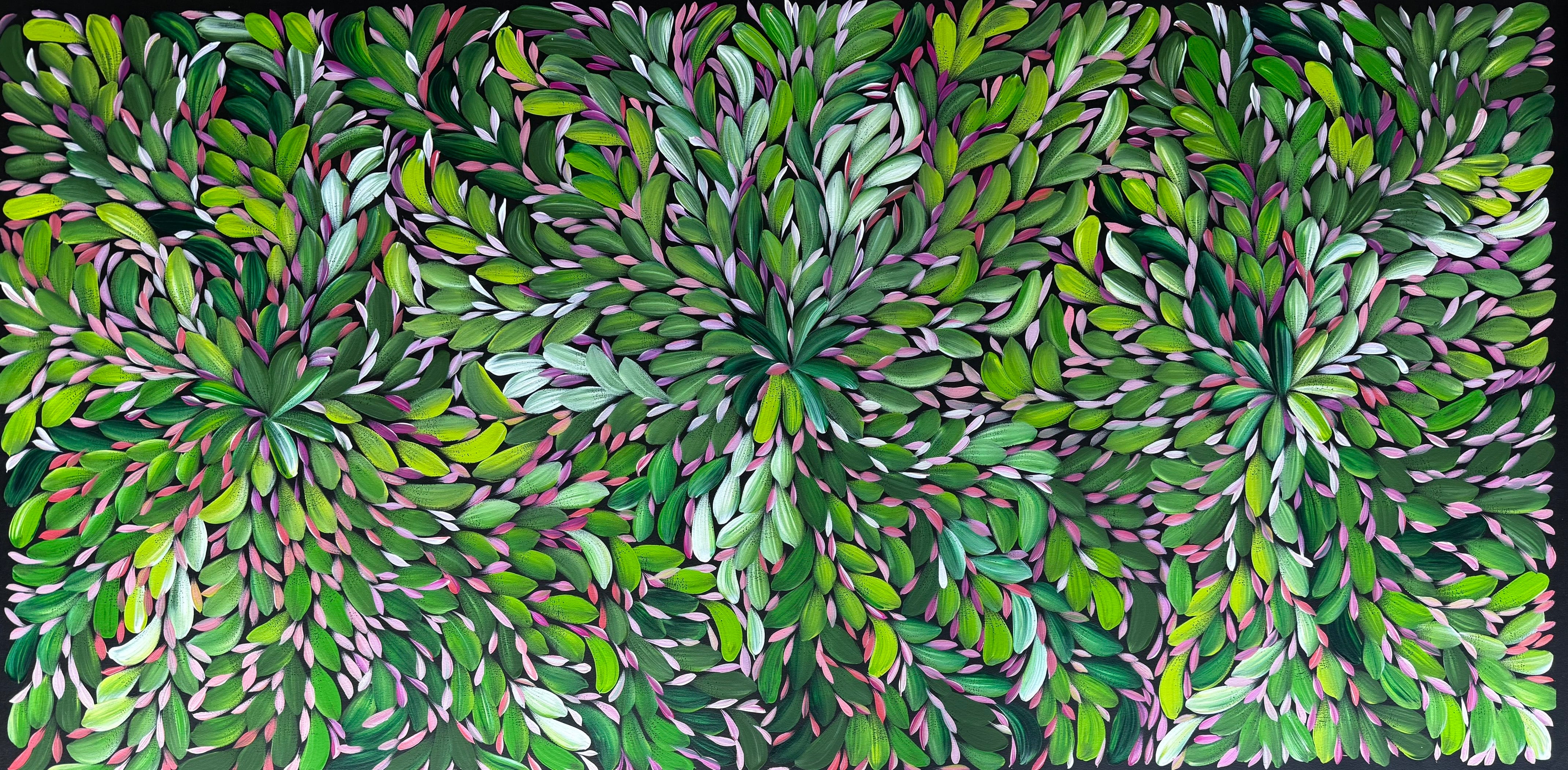 Louise Numina Napananka - Bush Medicine Leaves .23-7