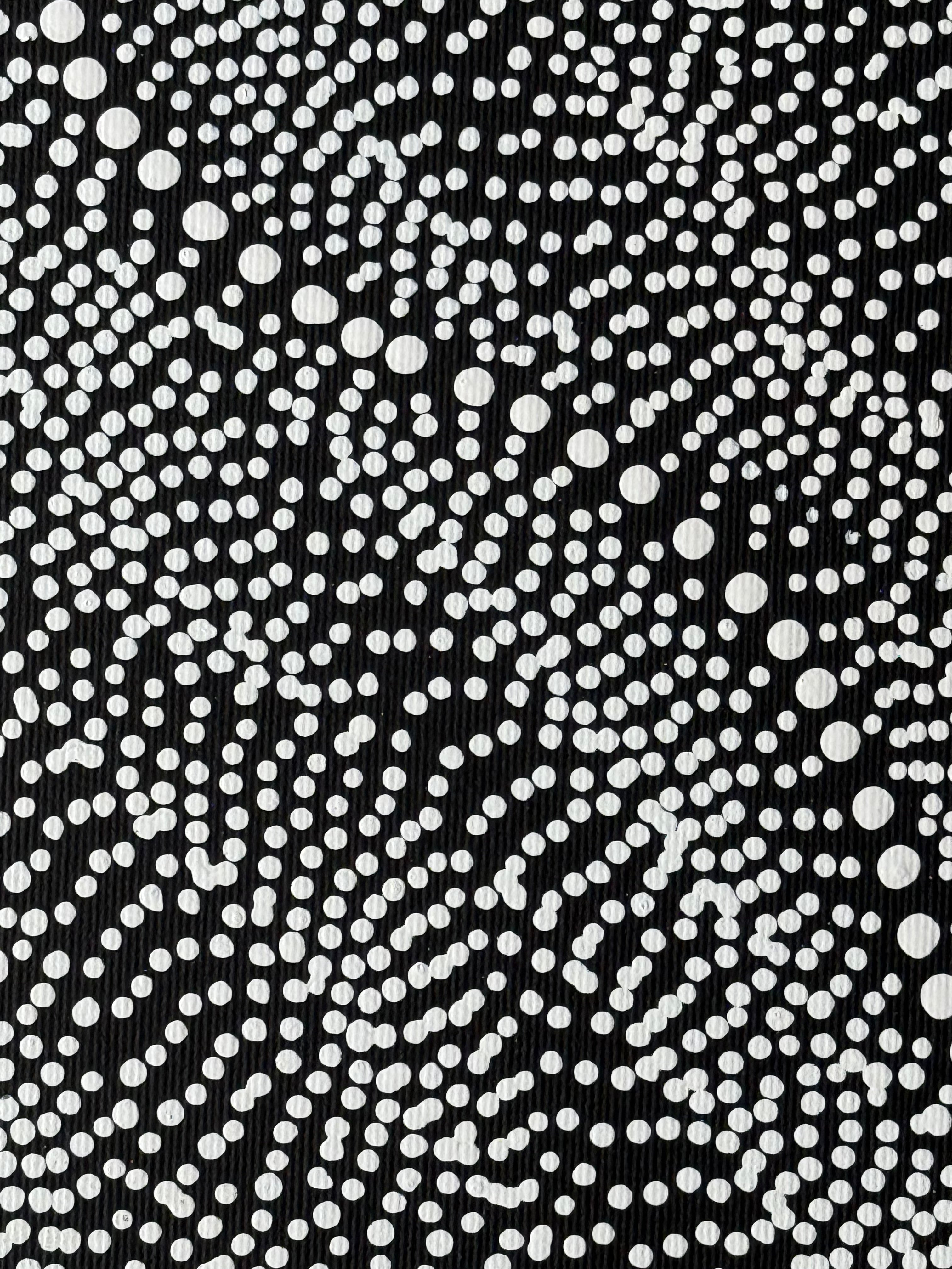 Marshall Jangala Robertson - Watiya-warnu Jukurrpa (Seed Dreaming) - Stretched