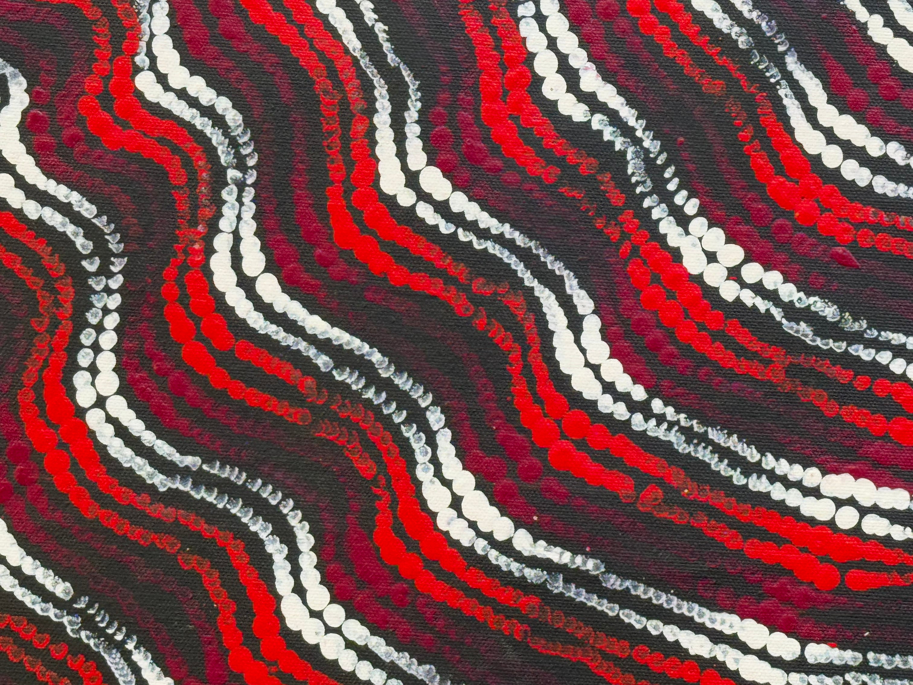 Maria Nampijinpa Brown - Pamapardu Jukurrpa (Flying Ant Dreaming) .27-2