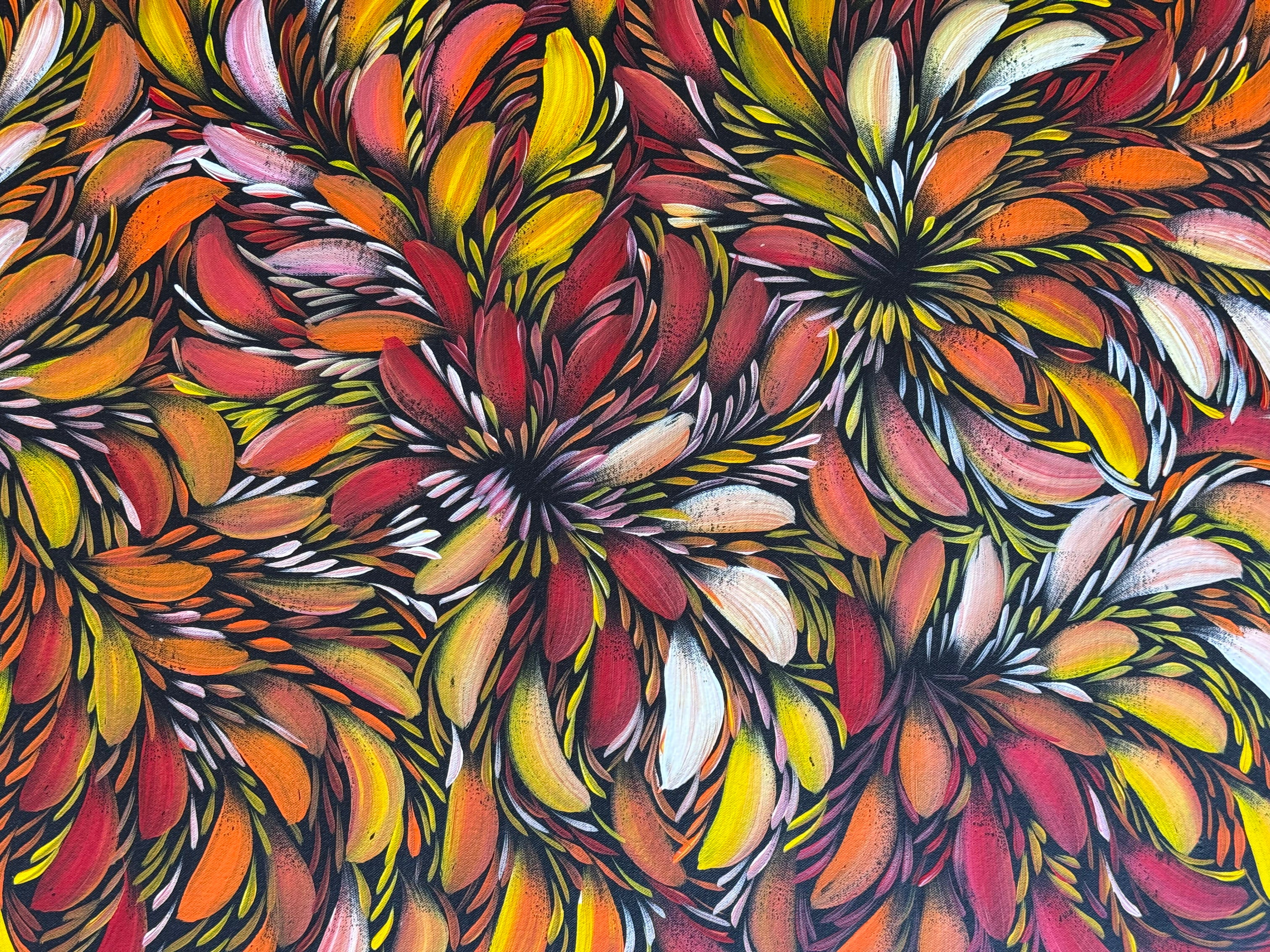 Selina Numina Kamprina - Bush Medicine Leaves .37-6