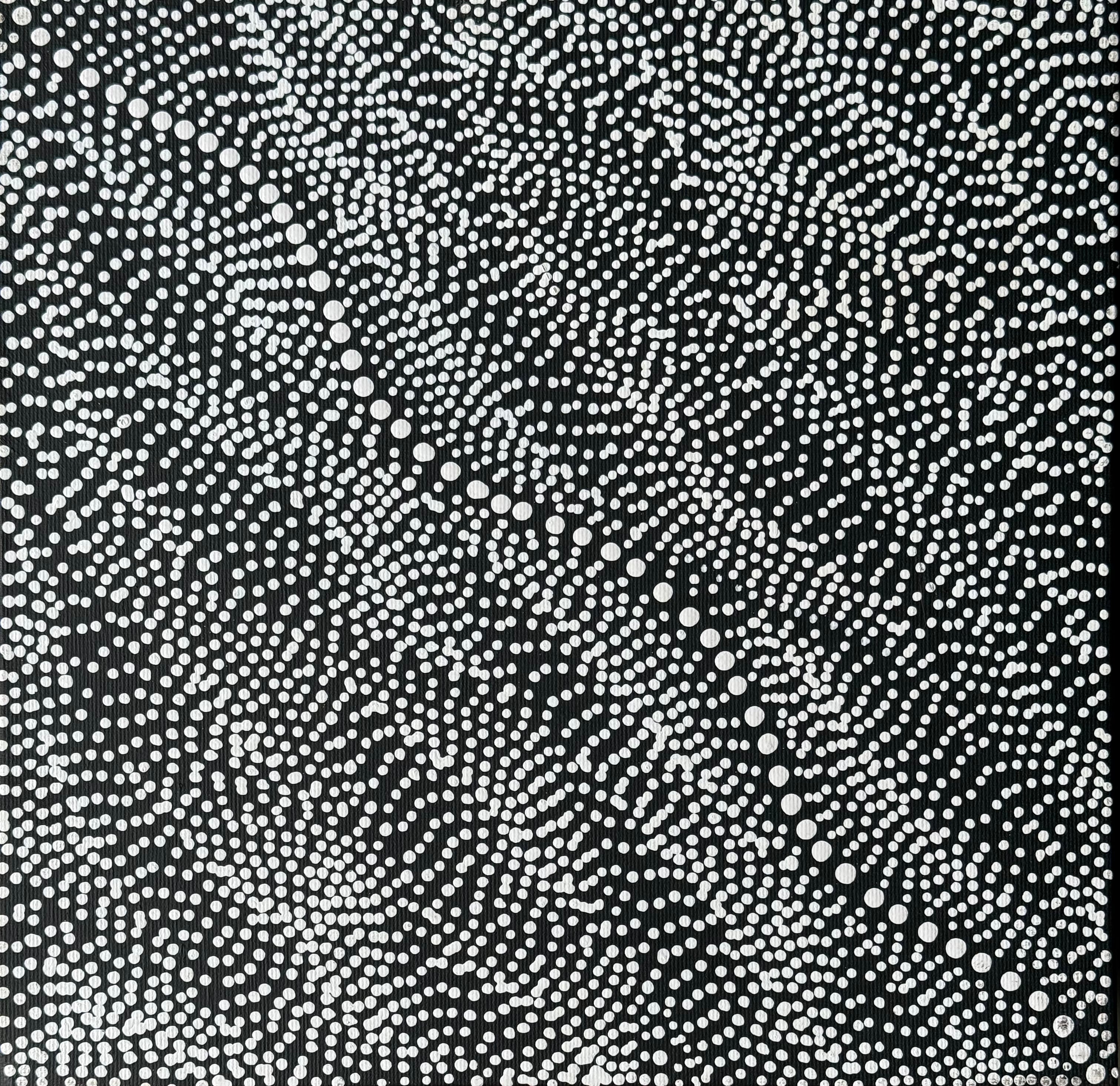 Marshall Jangala Robertson - Watiya-warnu Jukurrpa (Seed Dreaming) - Stretched