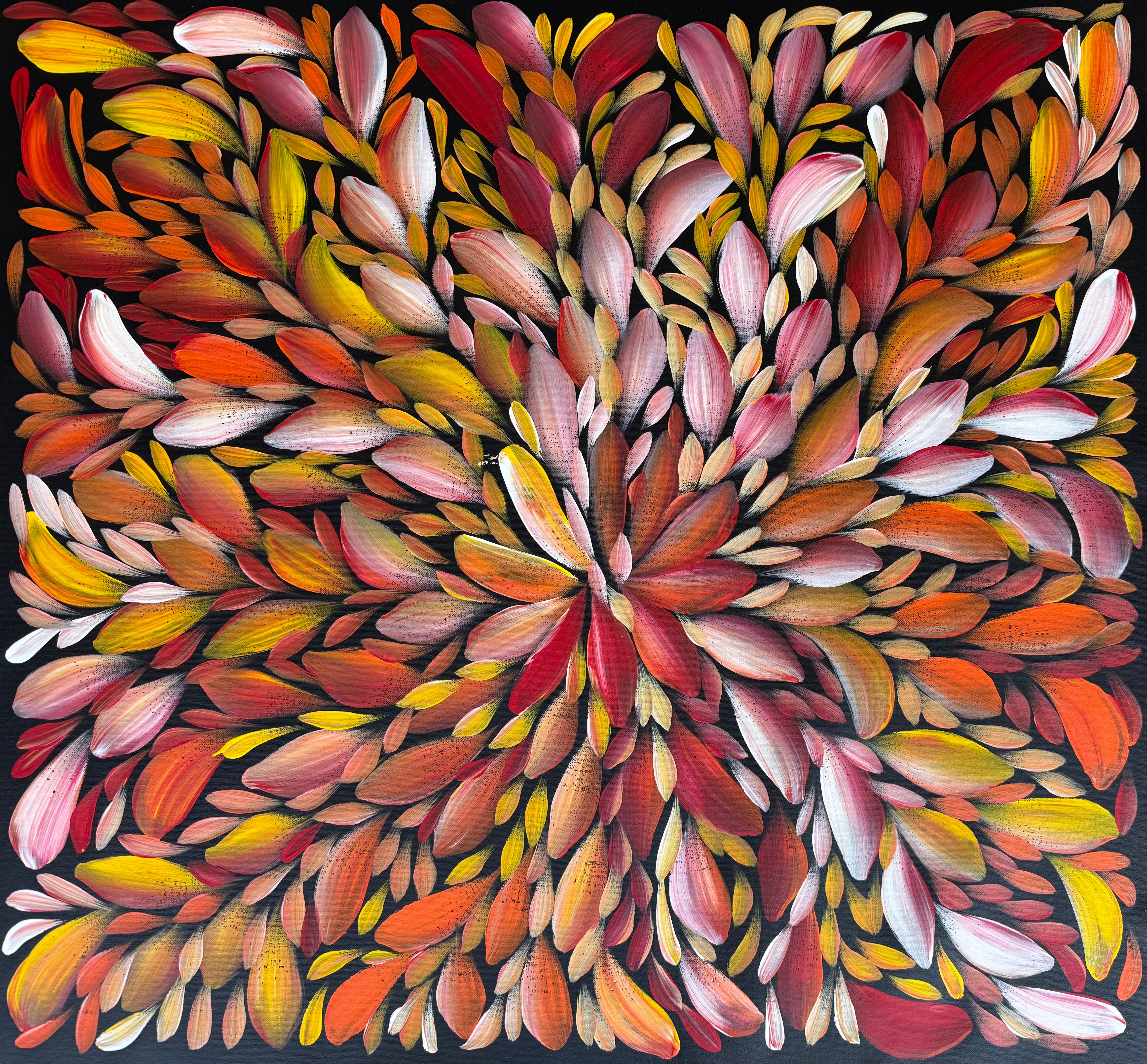 Louise Numina Napananka - Bush Medicine Leaves .75-19