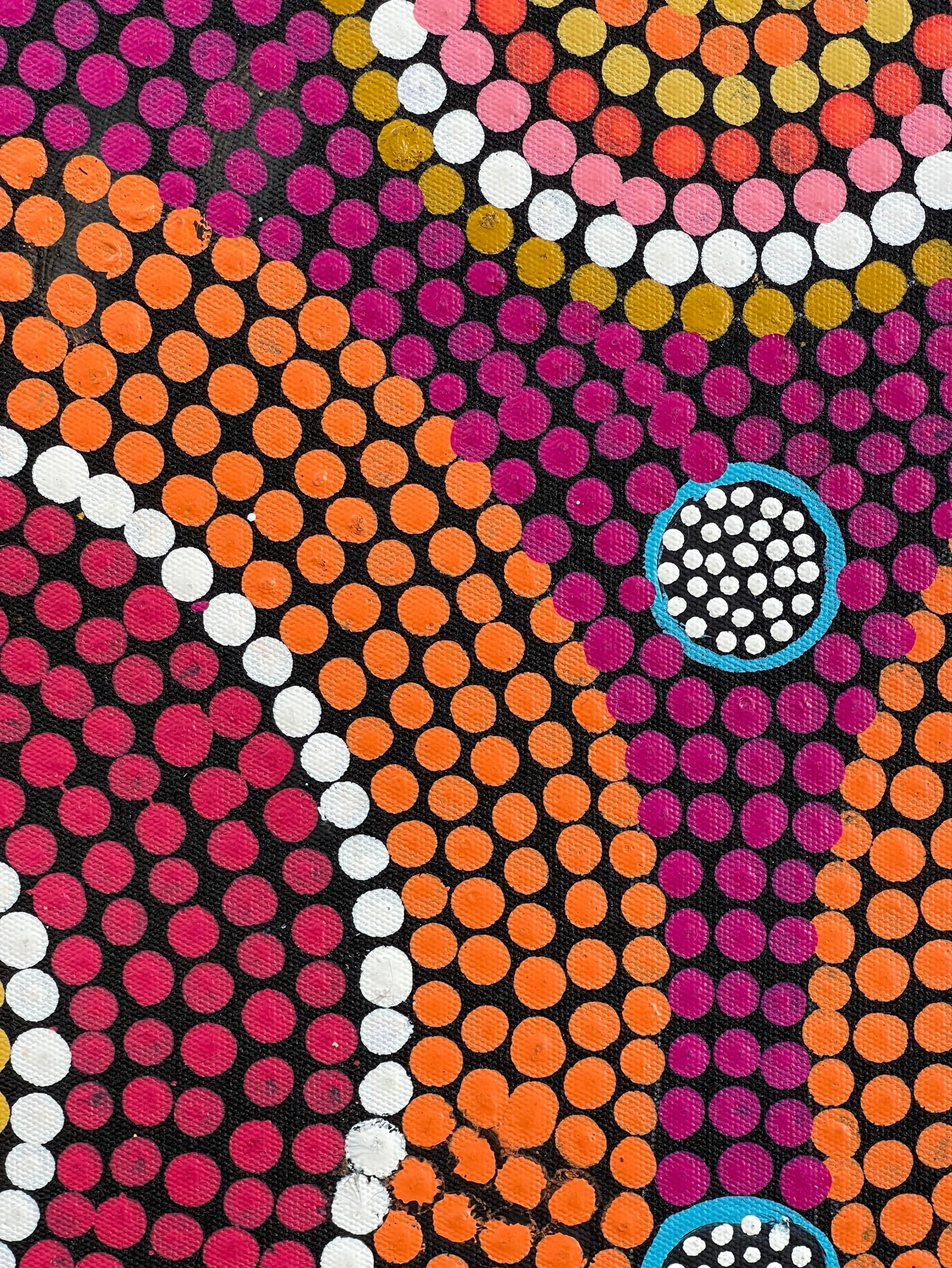 Maryanne Gibson - Bush Seeds, Wild Bush Flowers - 57x94cm .54-1