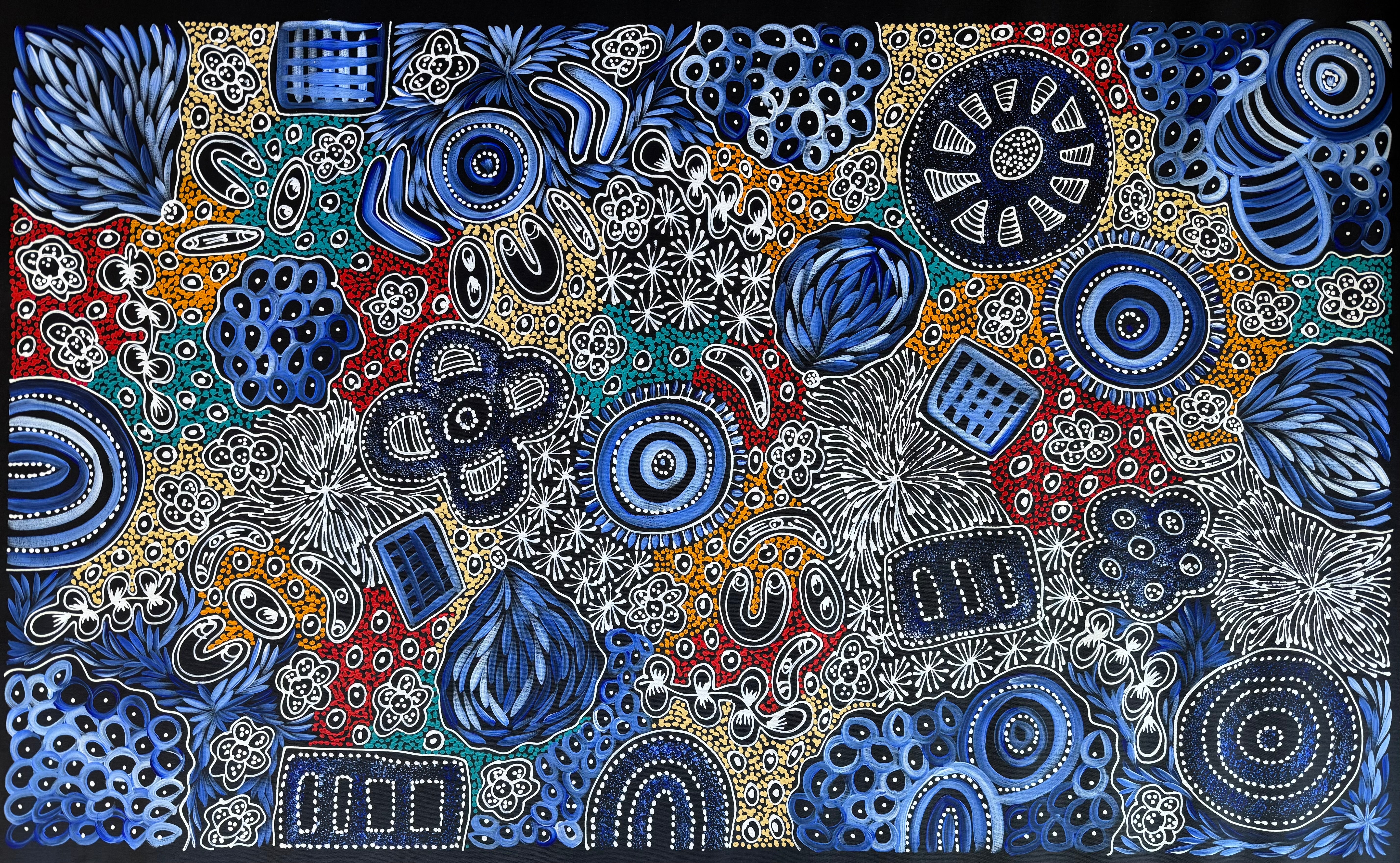 Sharon Numina - My Country Dreaming .95-6