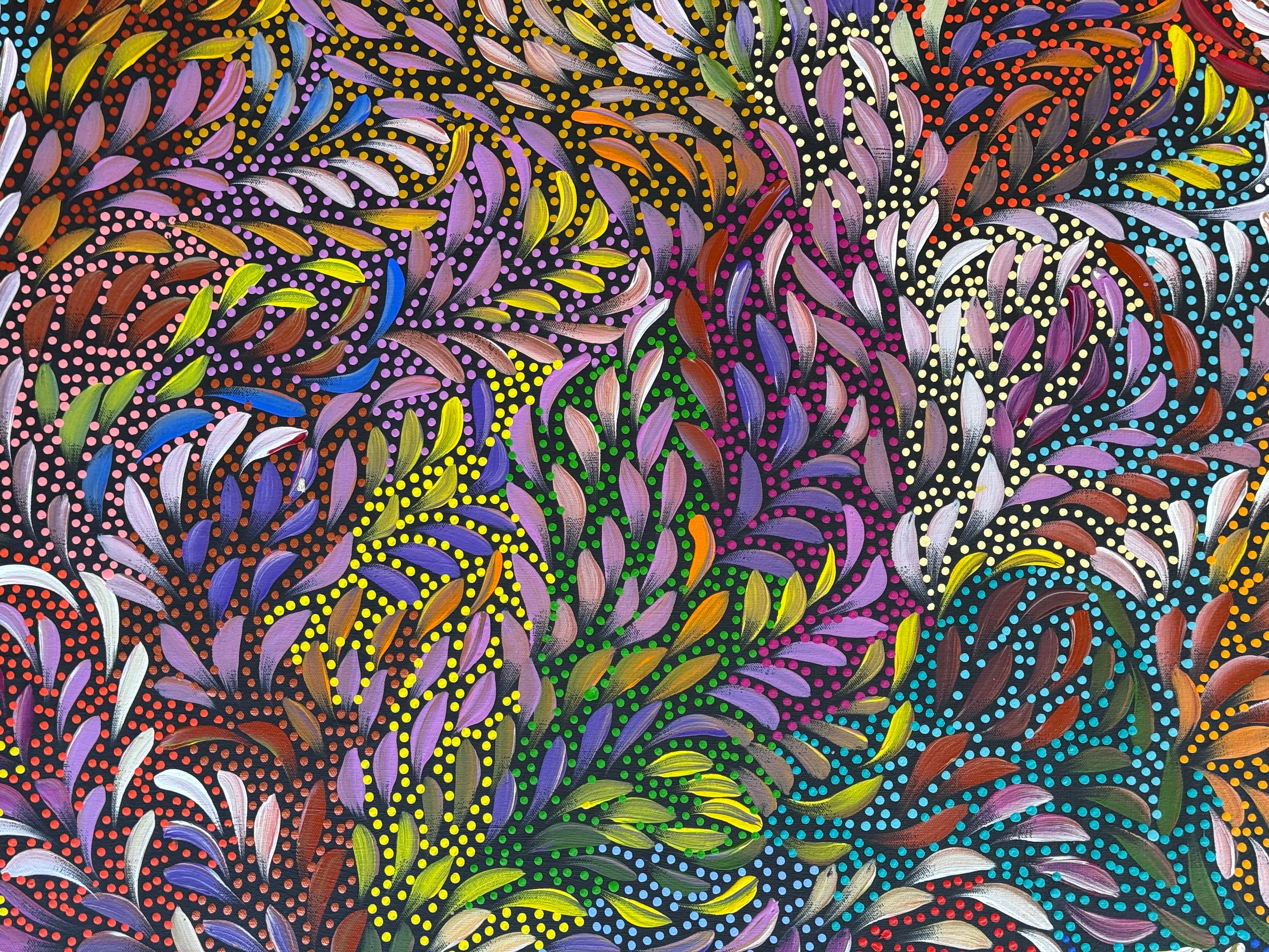 Caroline Numina - Bush Medicine Leaves .91-11