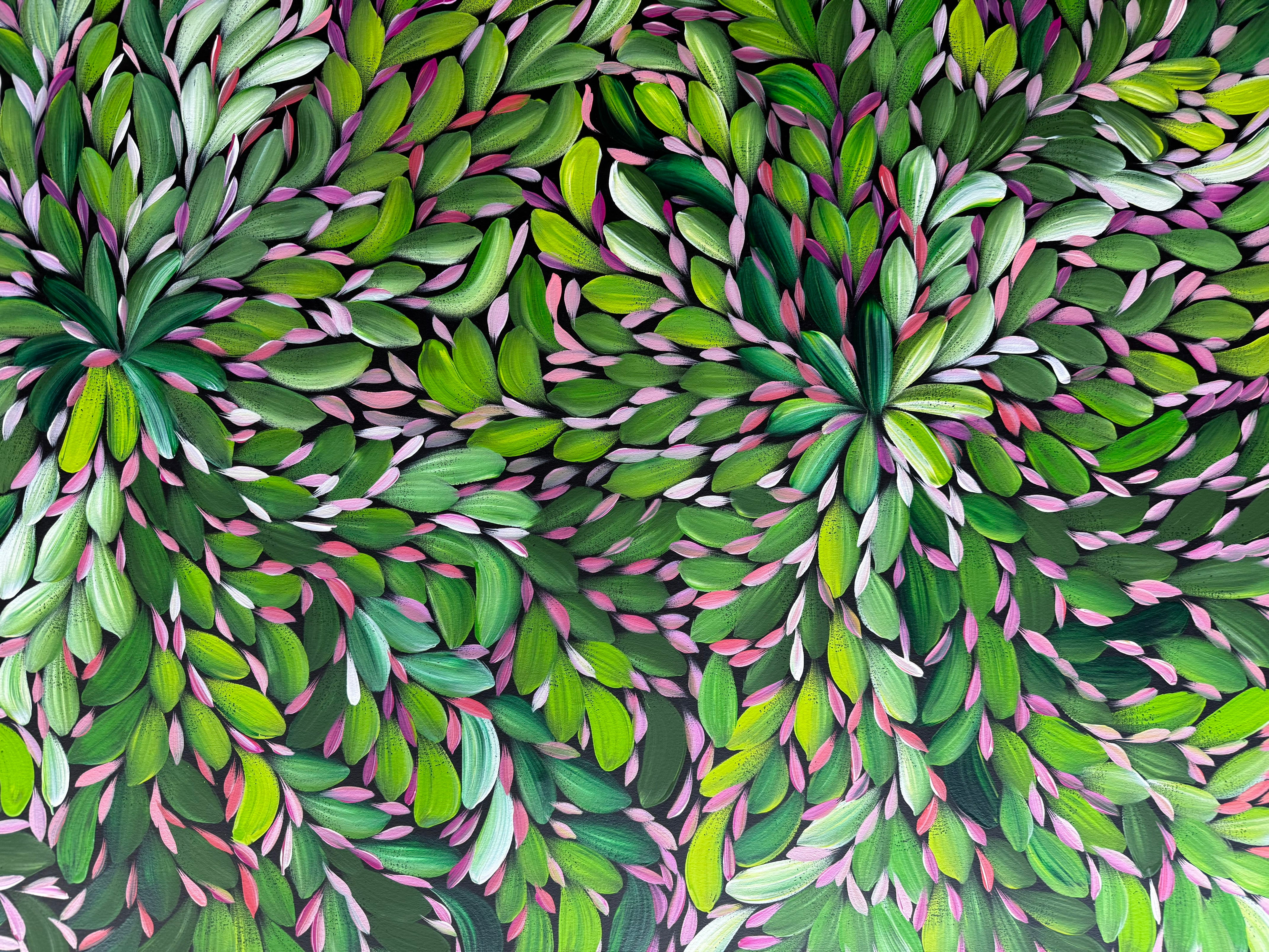 Louise Numina Napananka - Bush Medicine Leaves .23-7