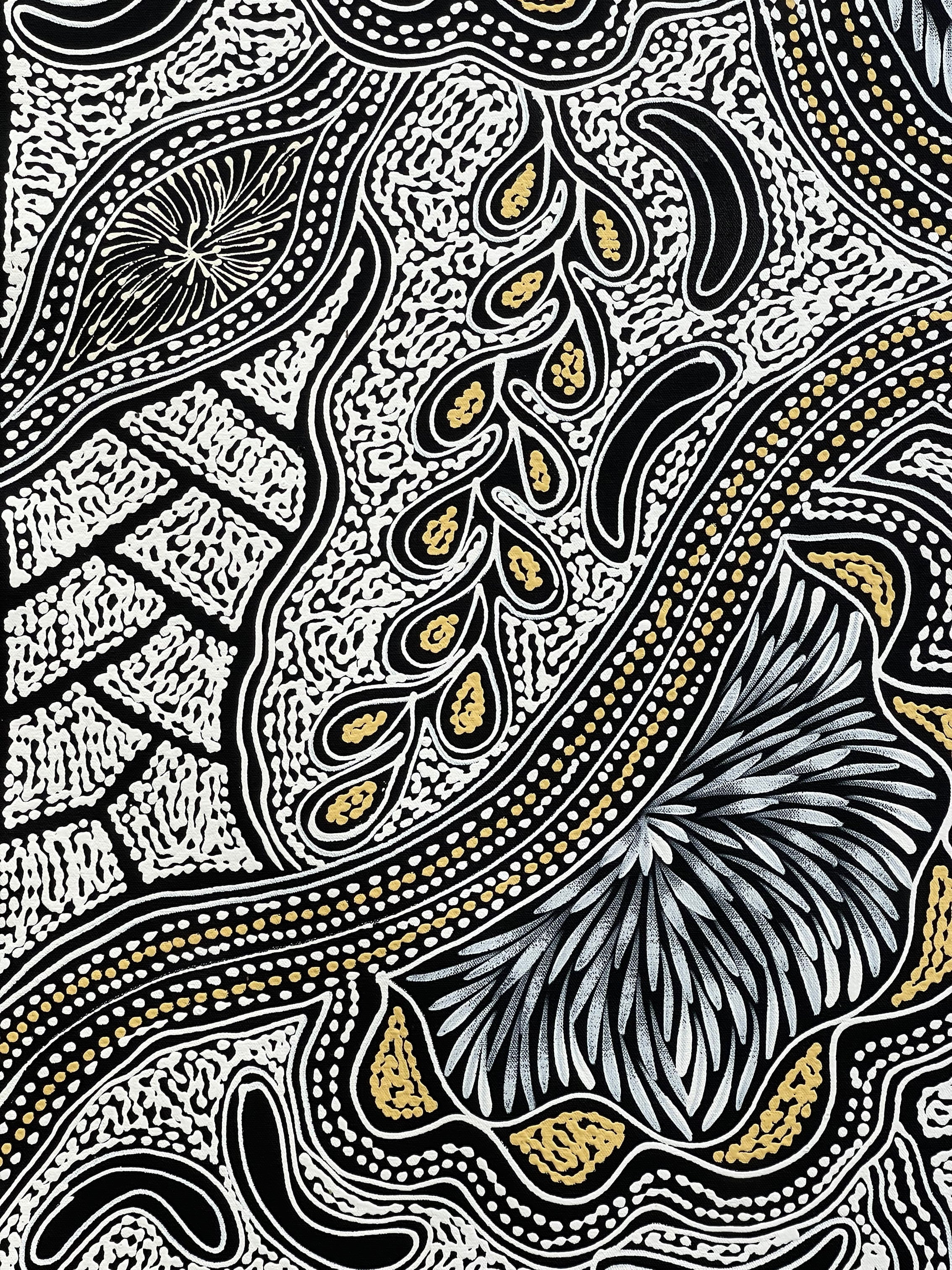 Sharon Numina - My Country Dreaming - 94x95cm .53-3