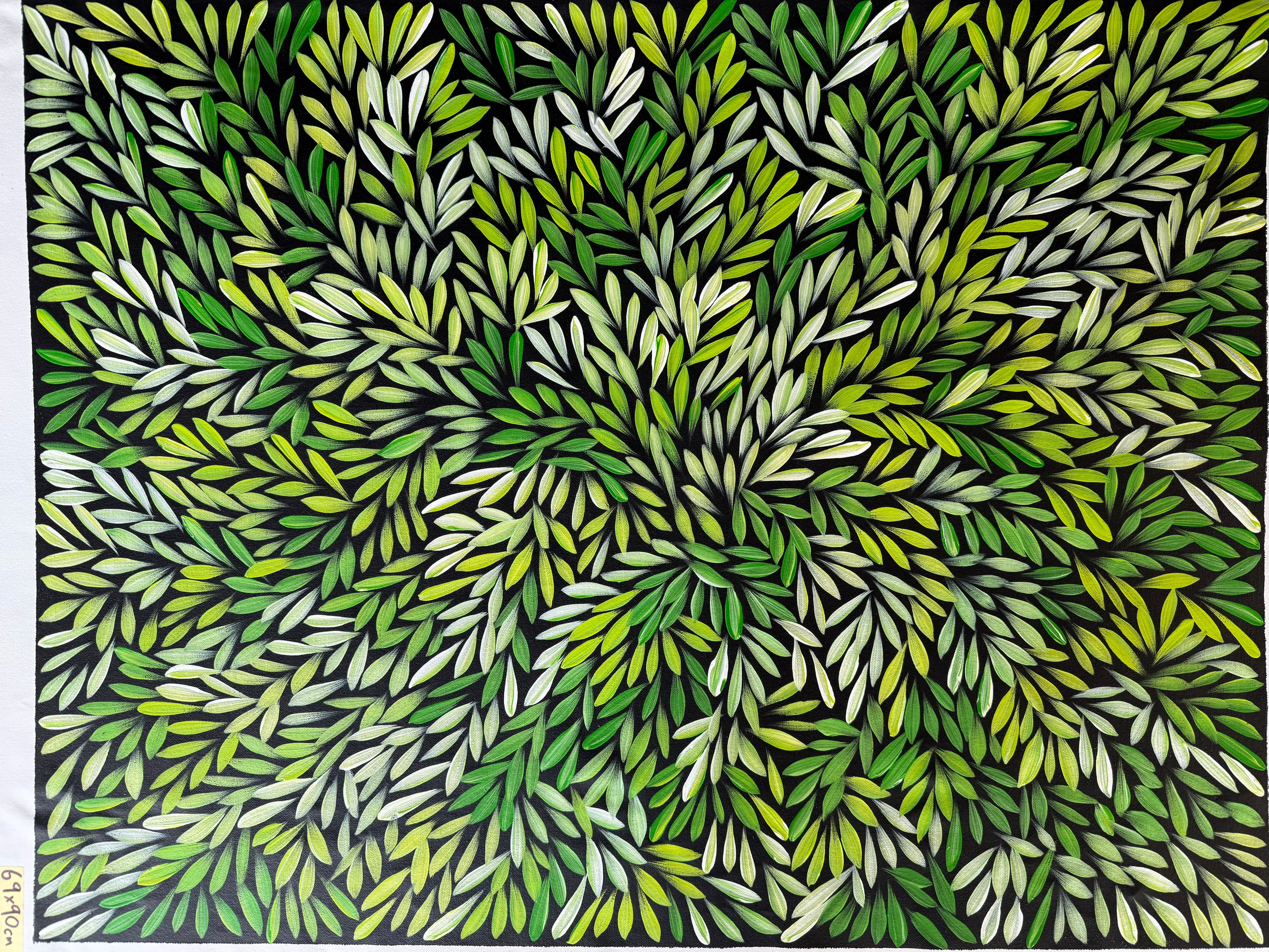 Sharon Numina - Bush Medicine Leaves - 69x90cm .14-37