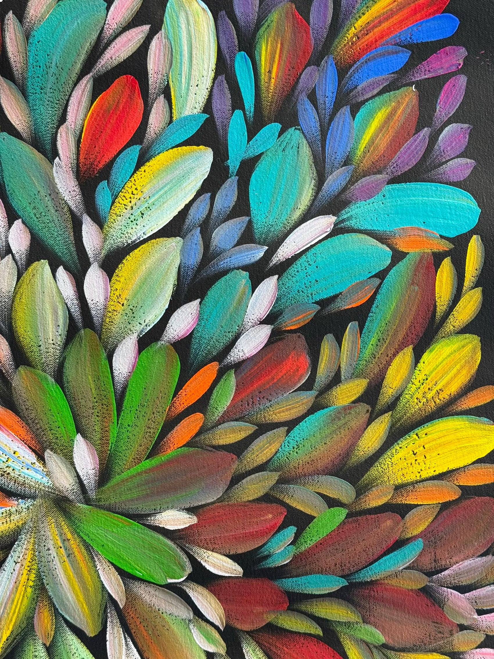 Louise Numina Napananka - Bush Medicine Leaves .49-12