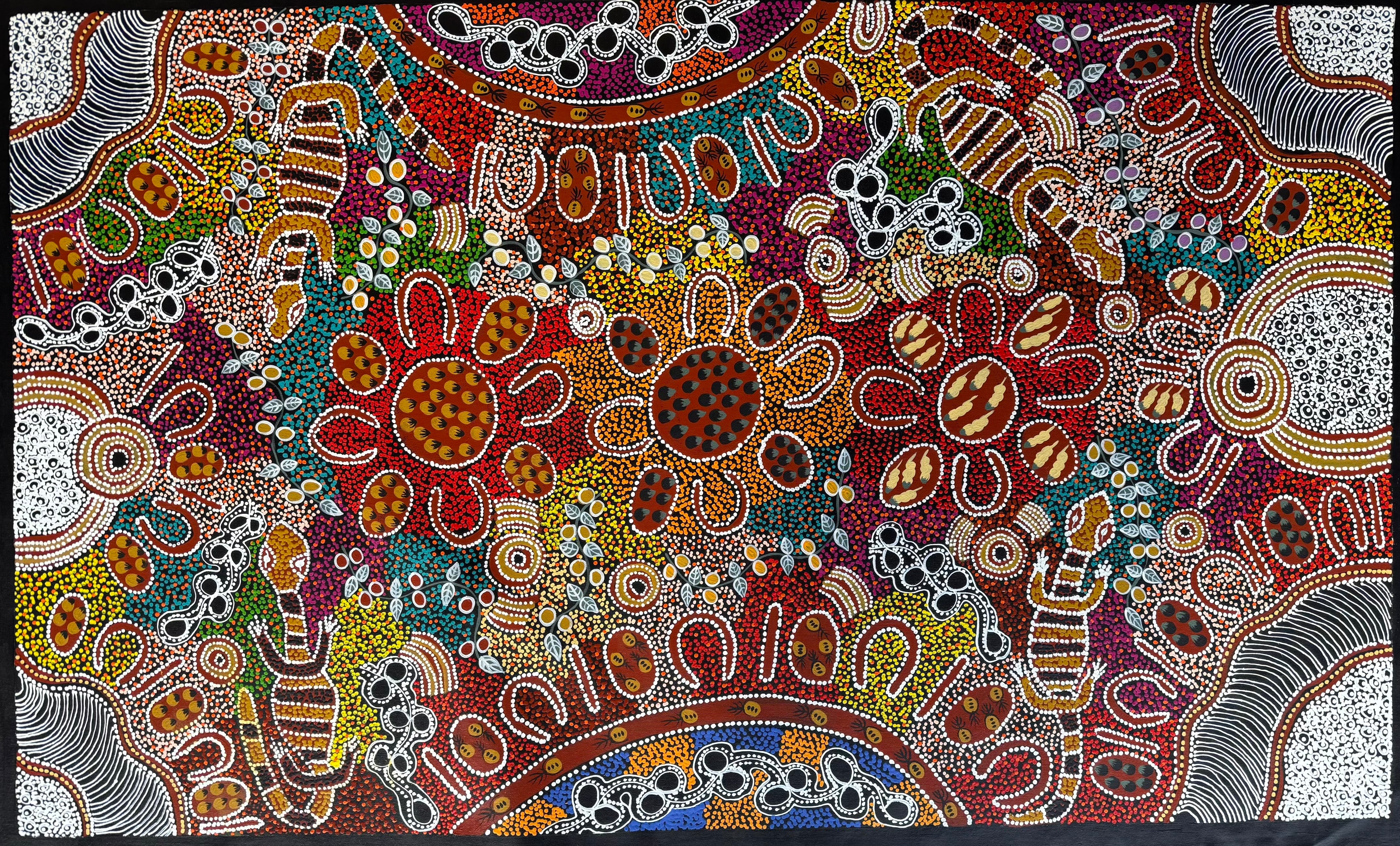 Lanita Numina - Women Collect Bushberries, Honeyants, Bush Plums, Sand Goannas .51-1